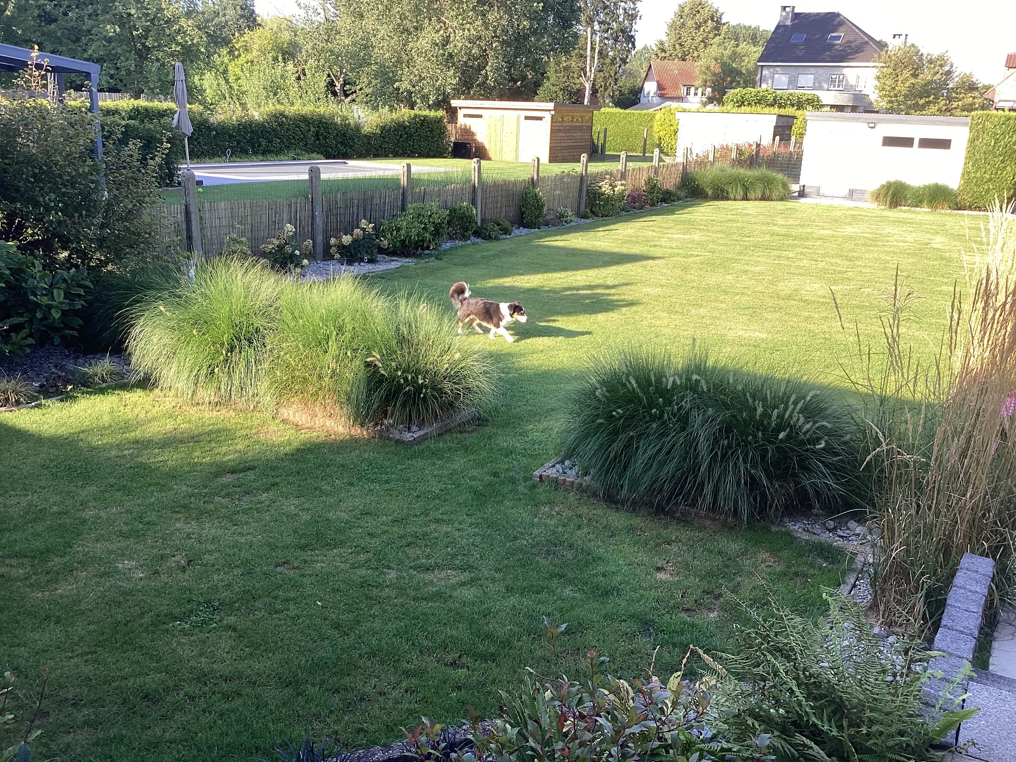 image-25