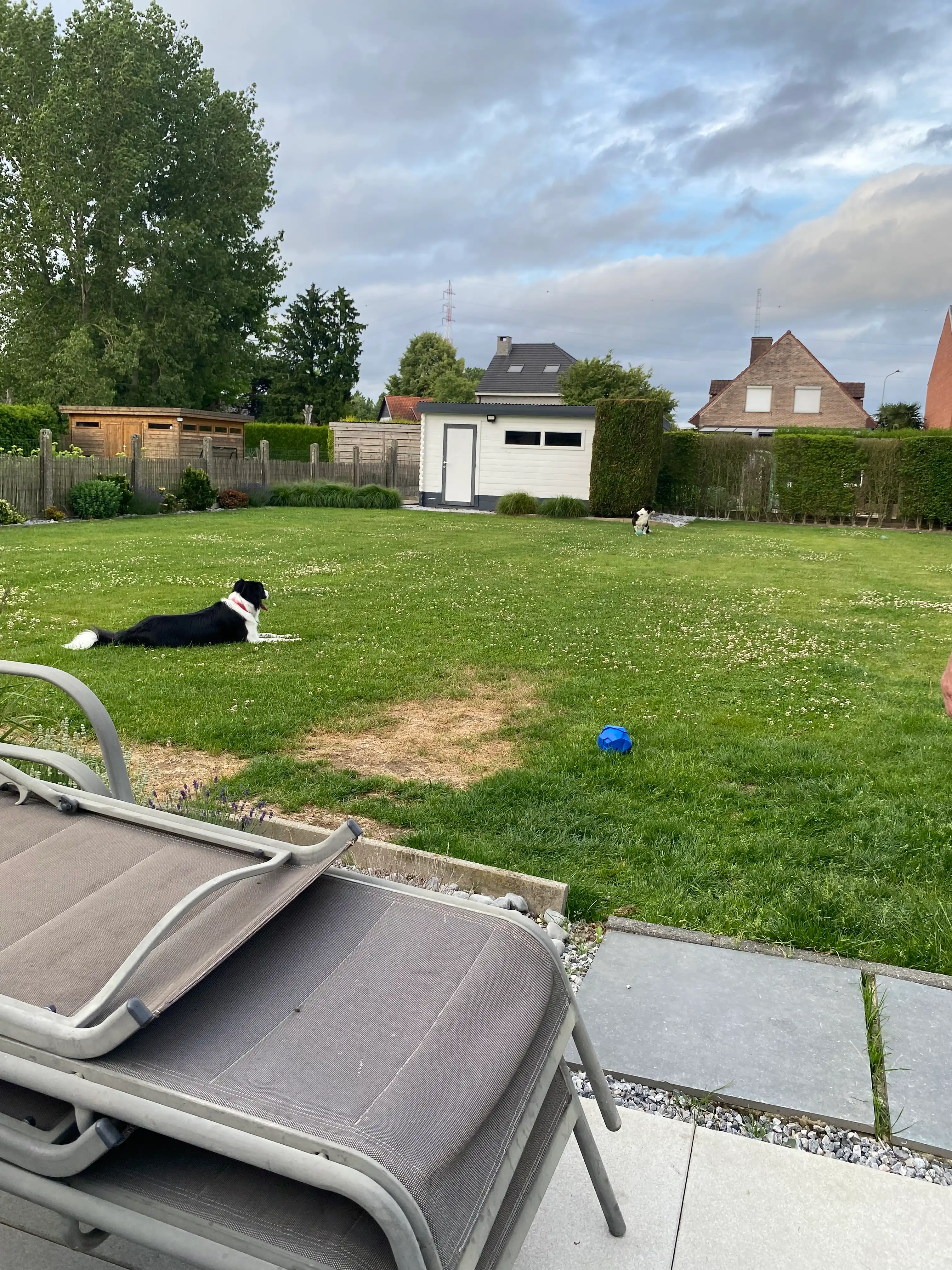 image-26