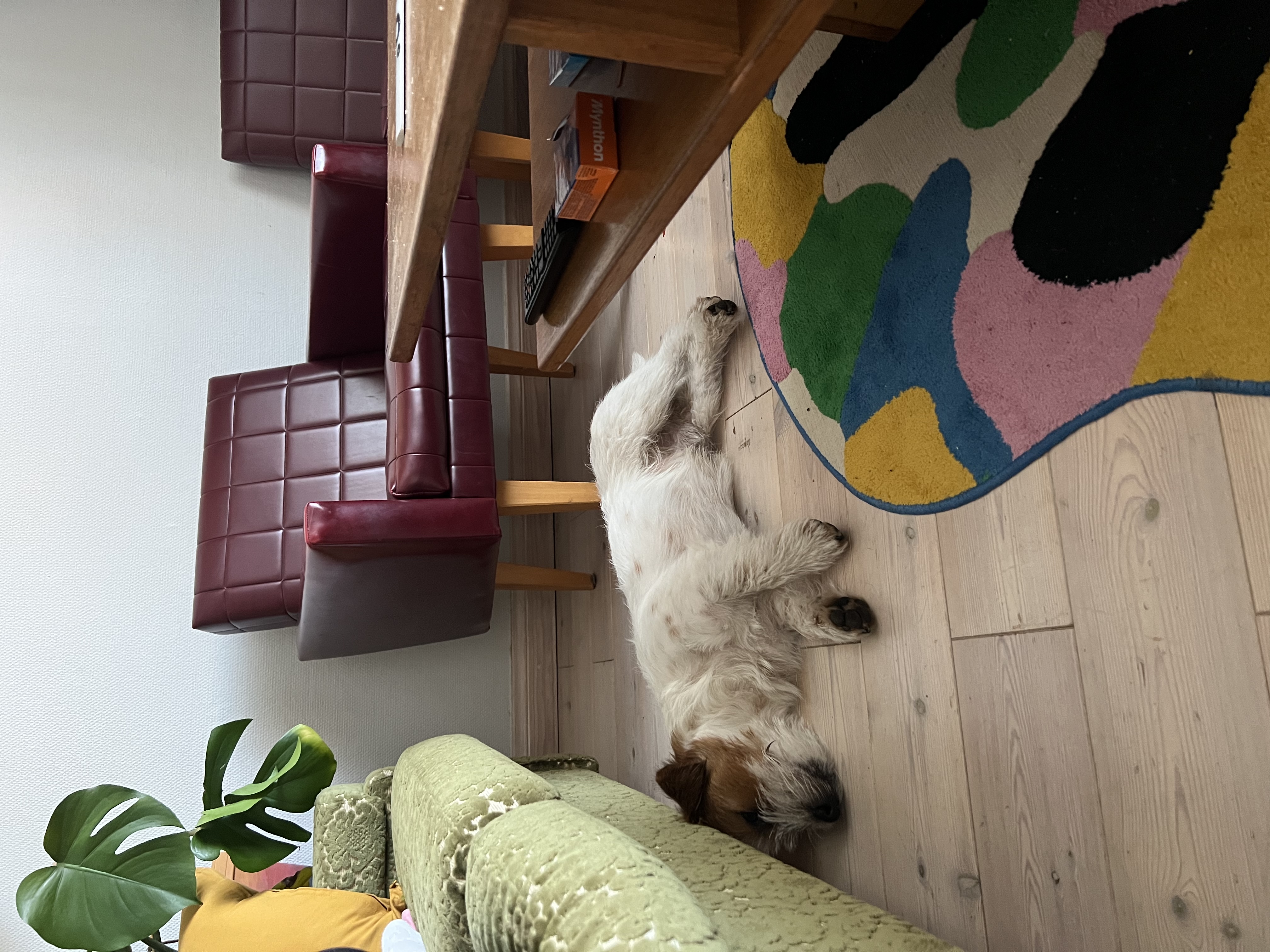 image-9