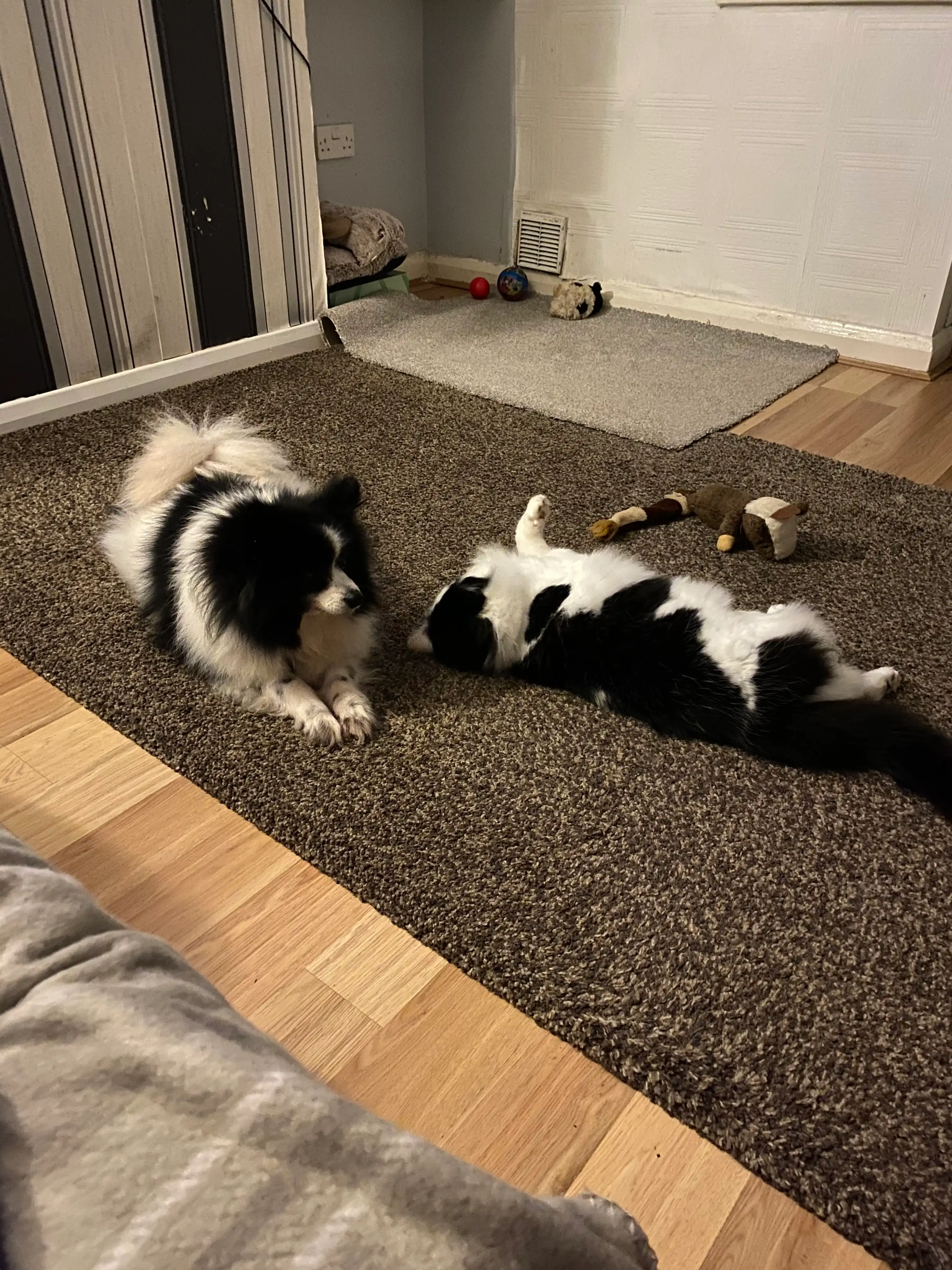 image-7