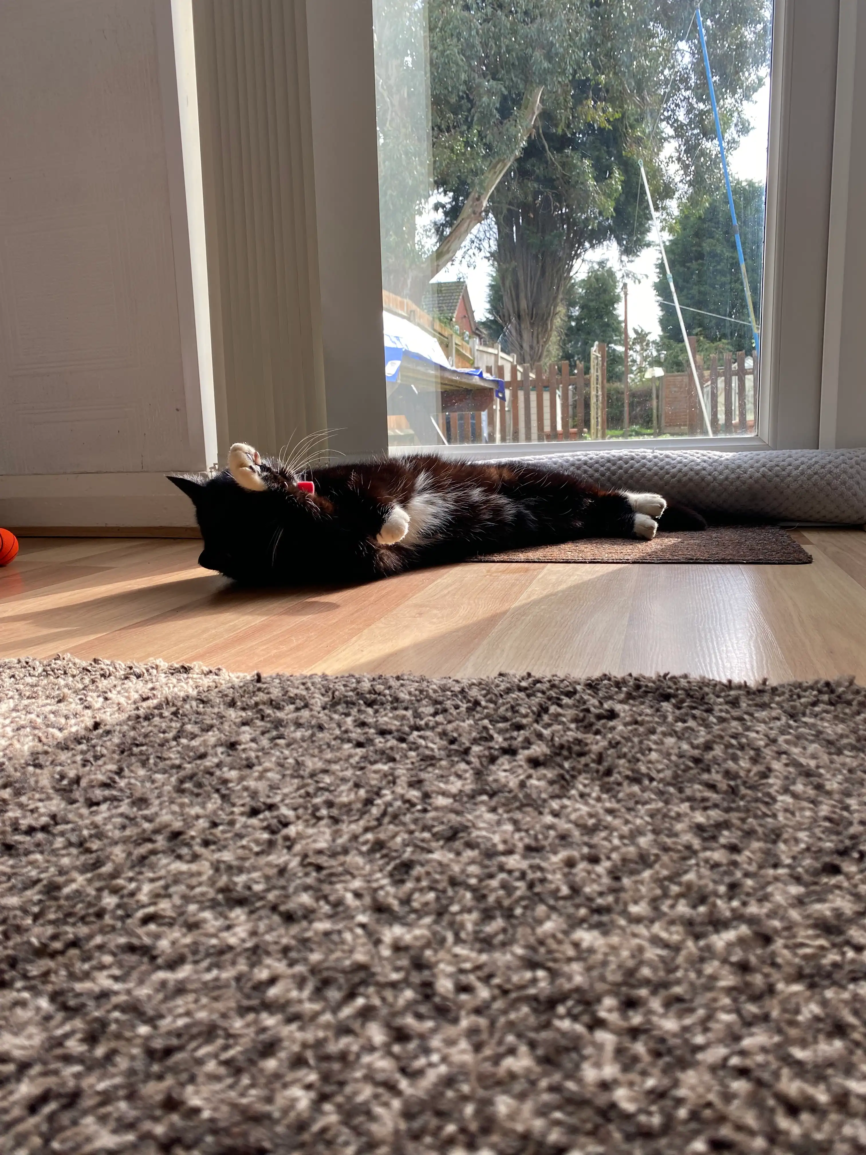image-10