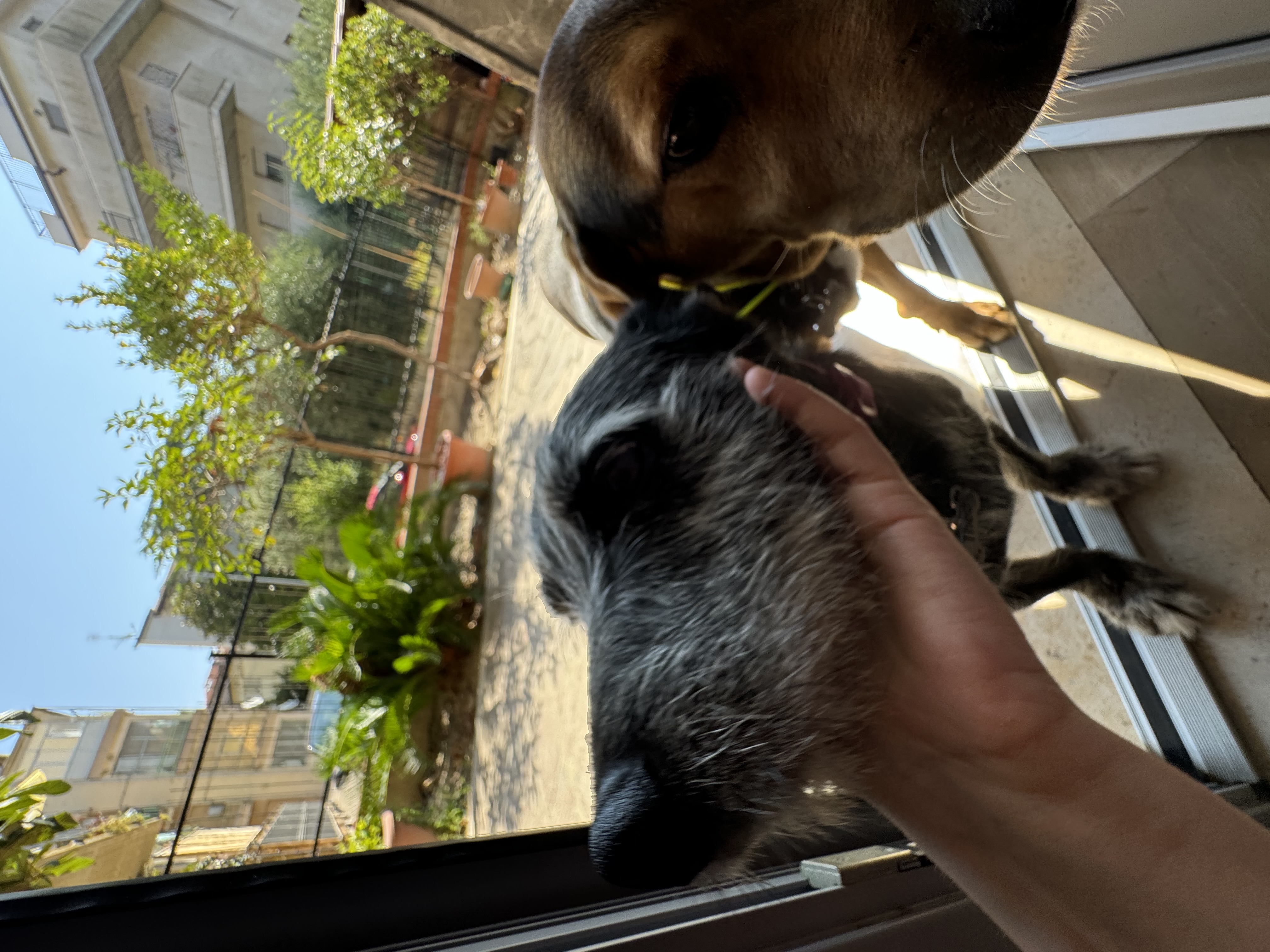 image-8