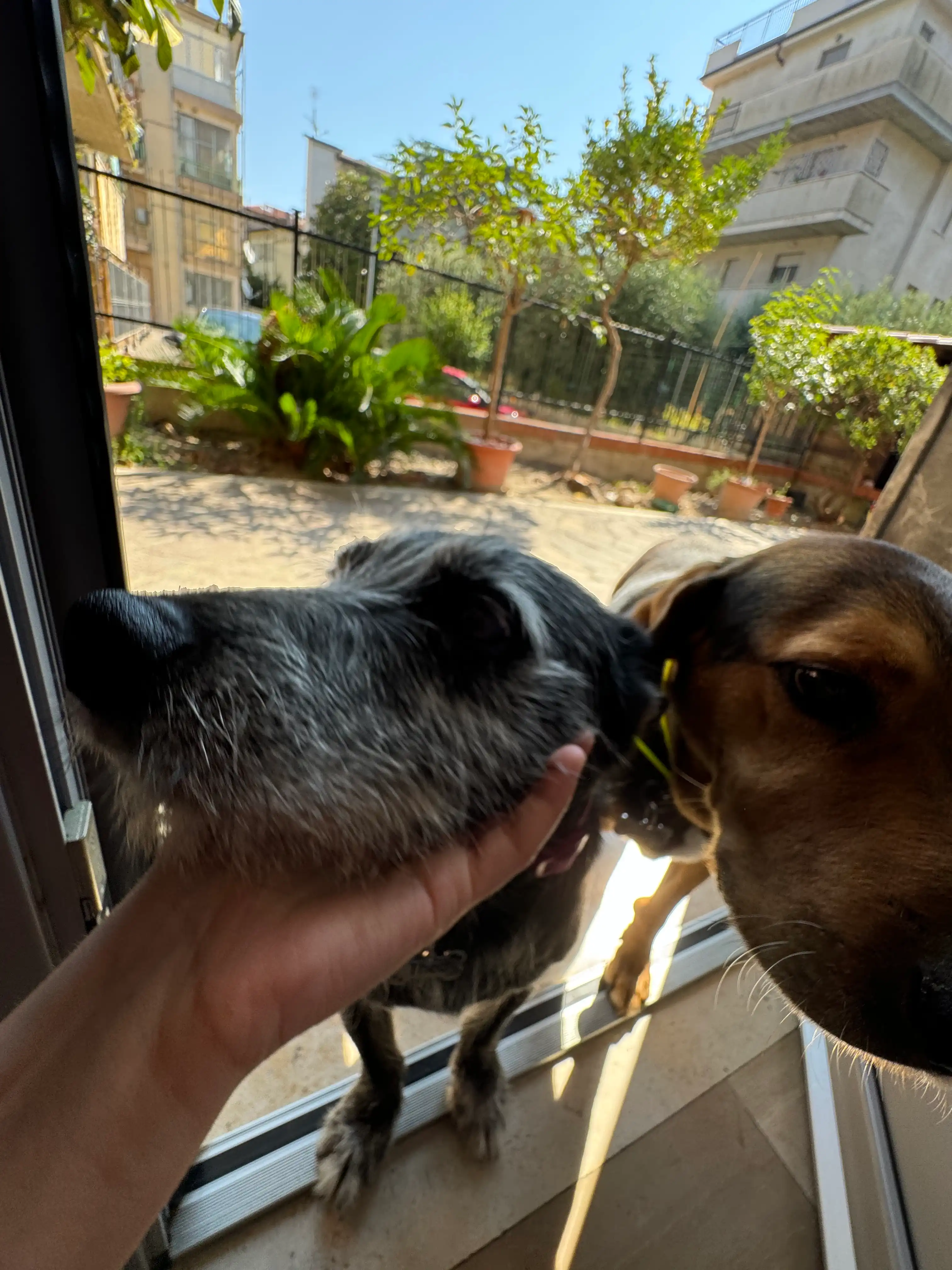 image-8