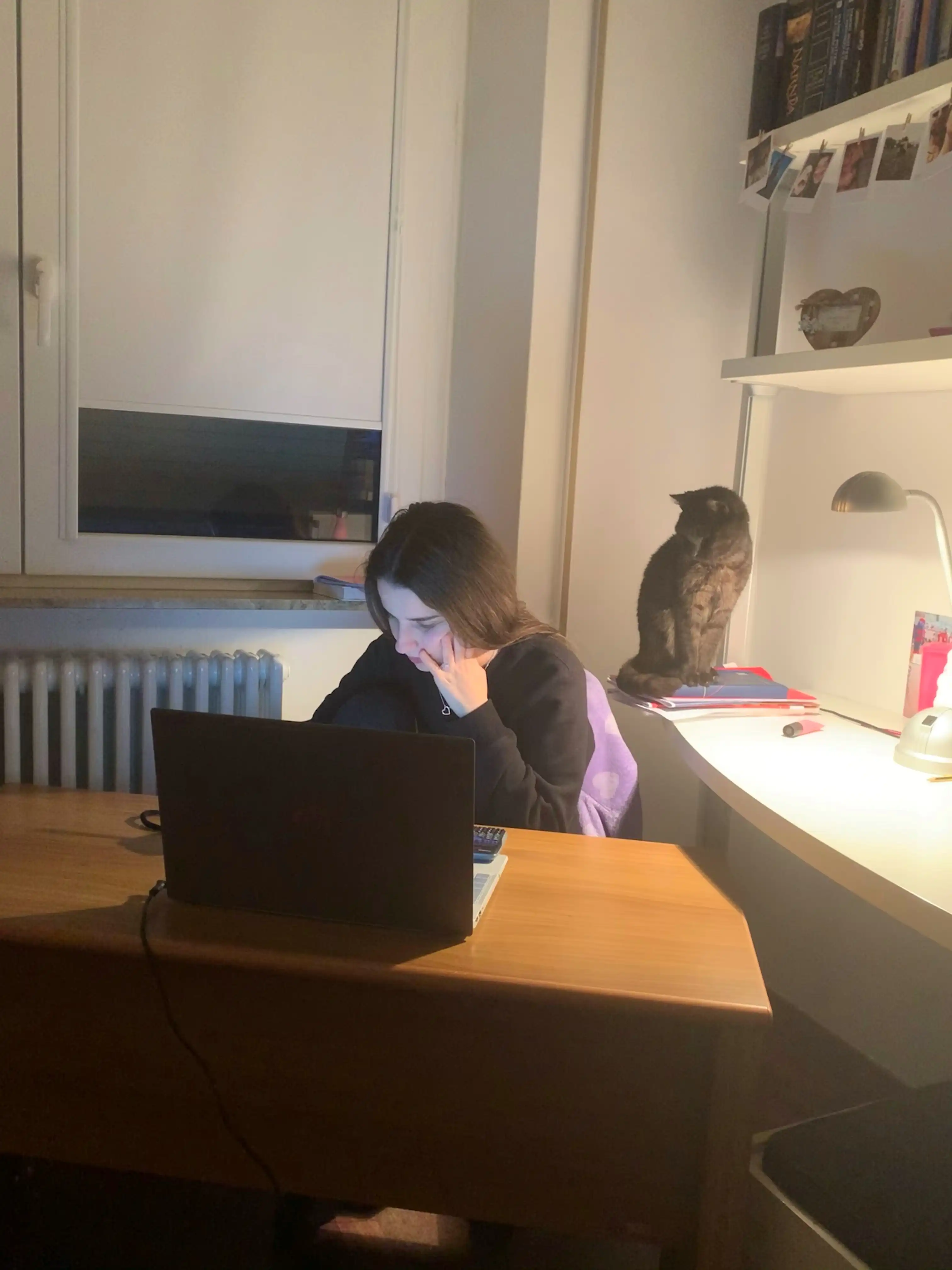 image-12