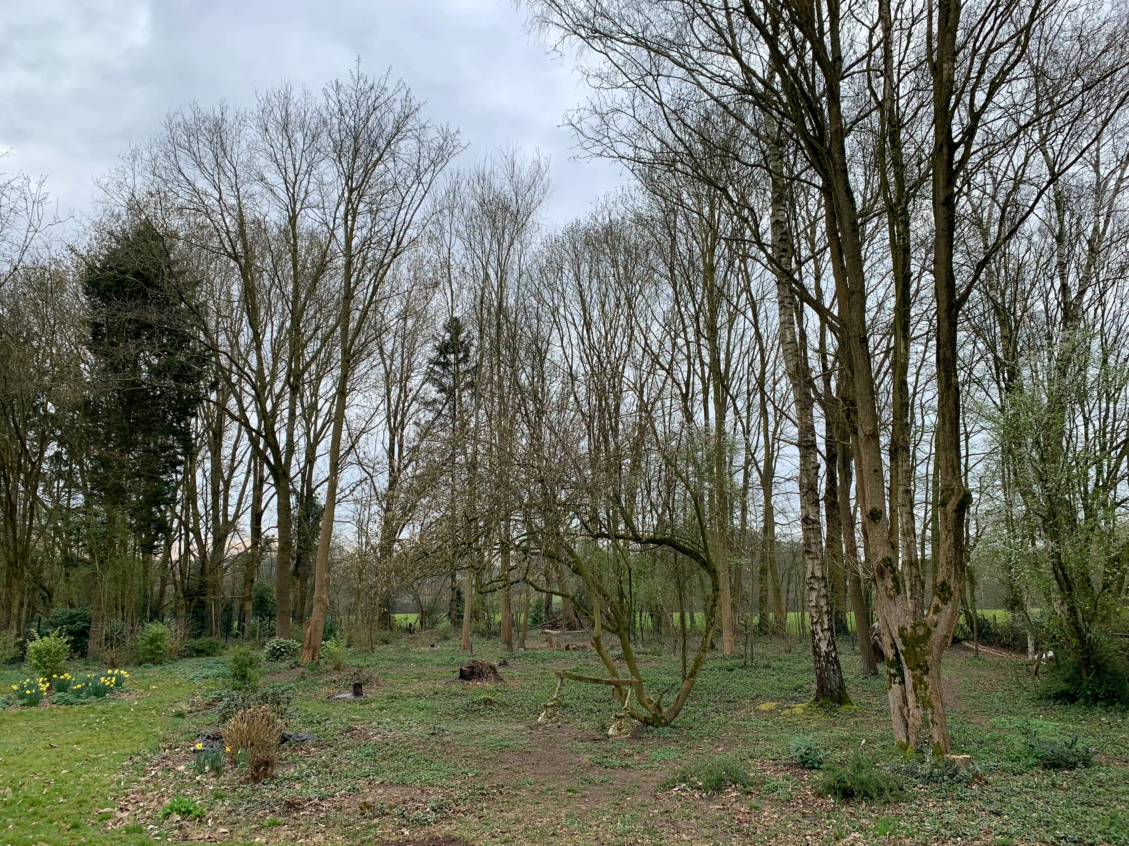 image-19