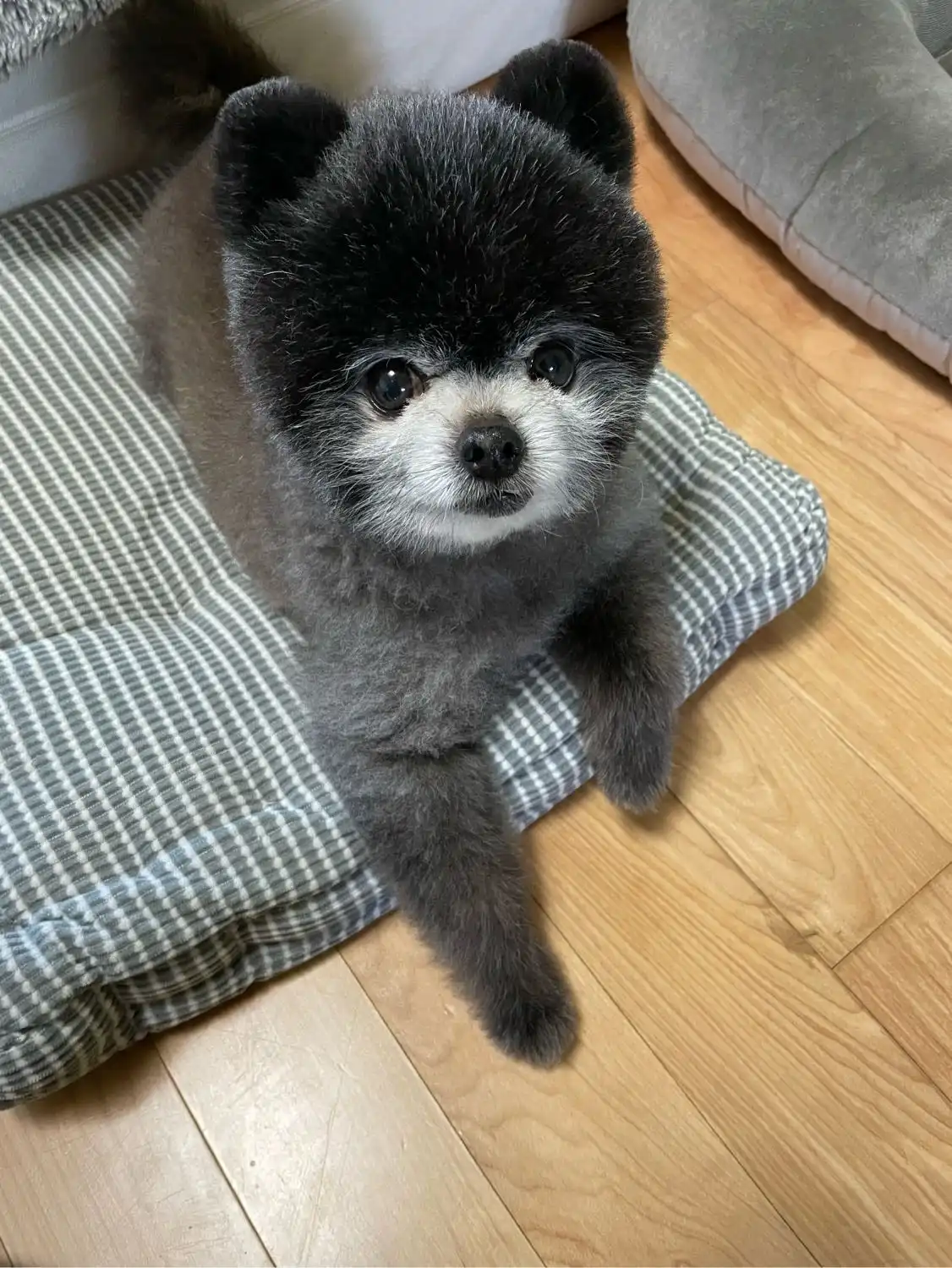 image-9