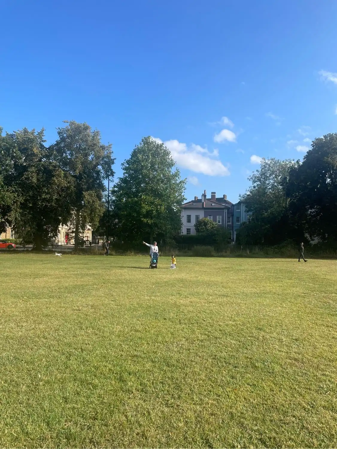 image-15