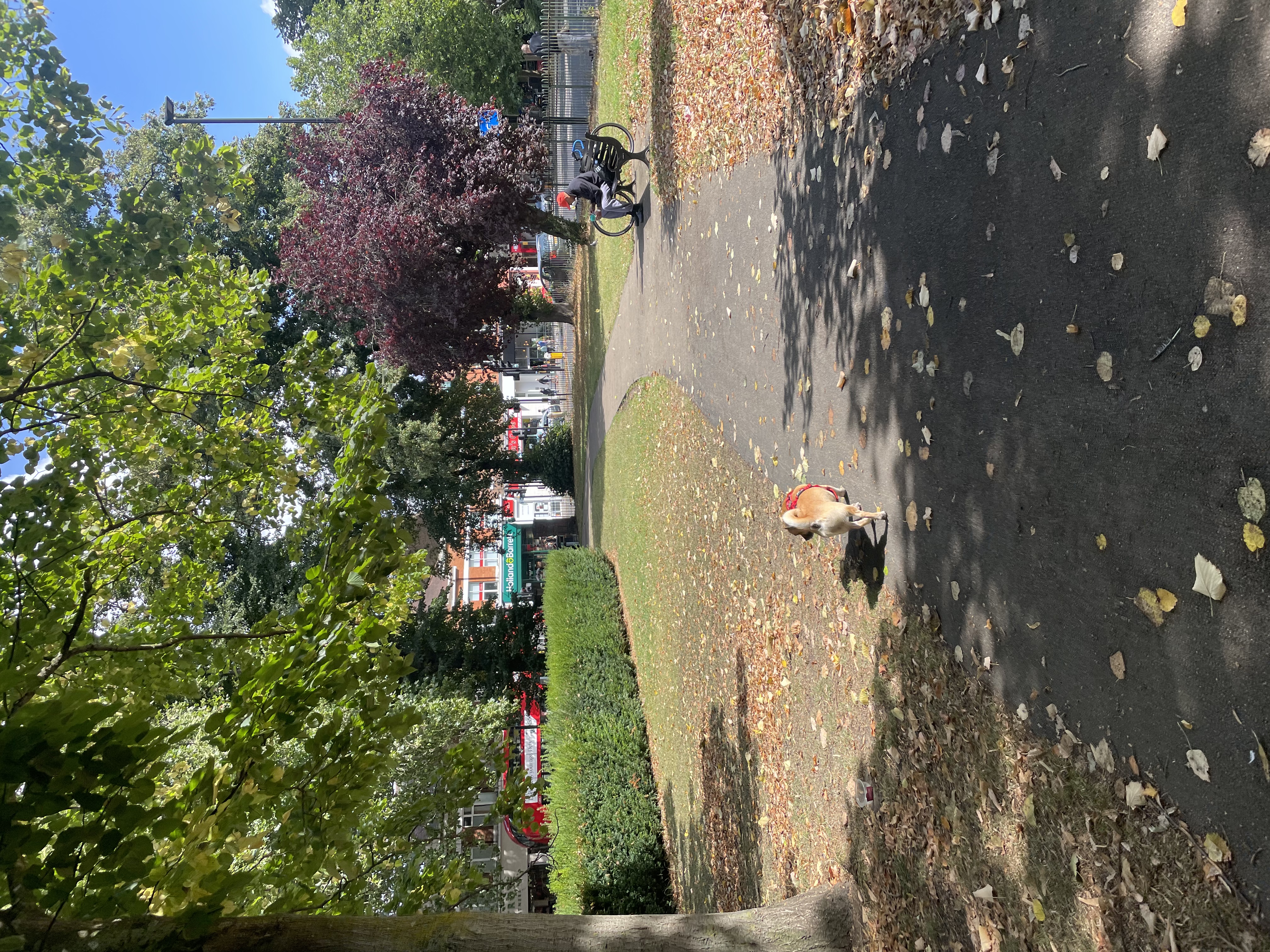 image-15