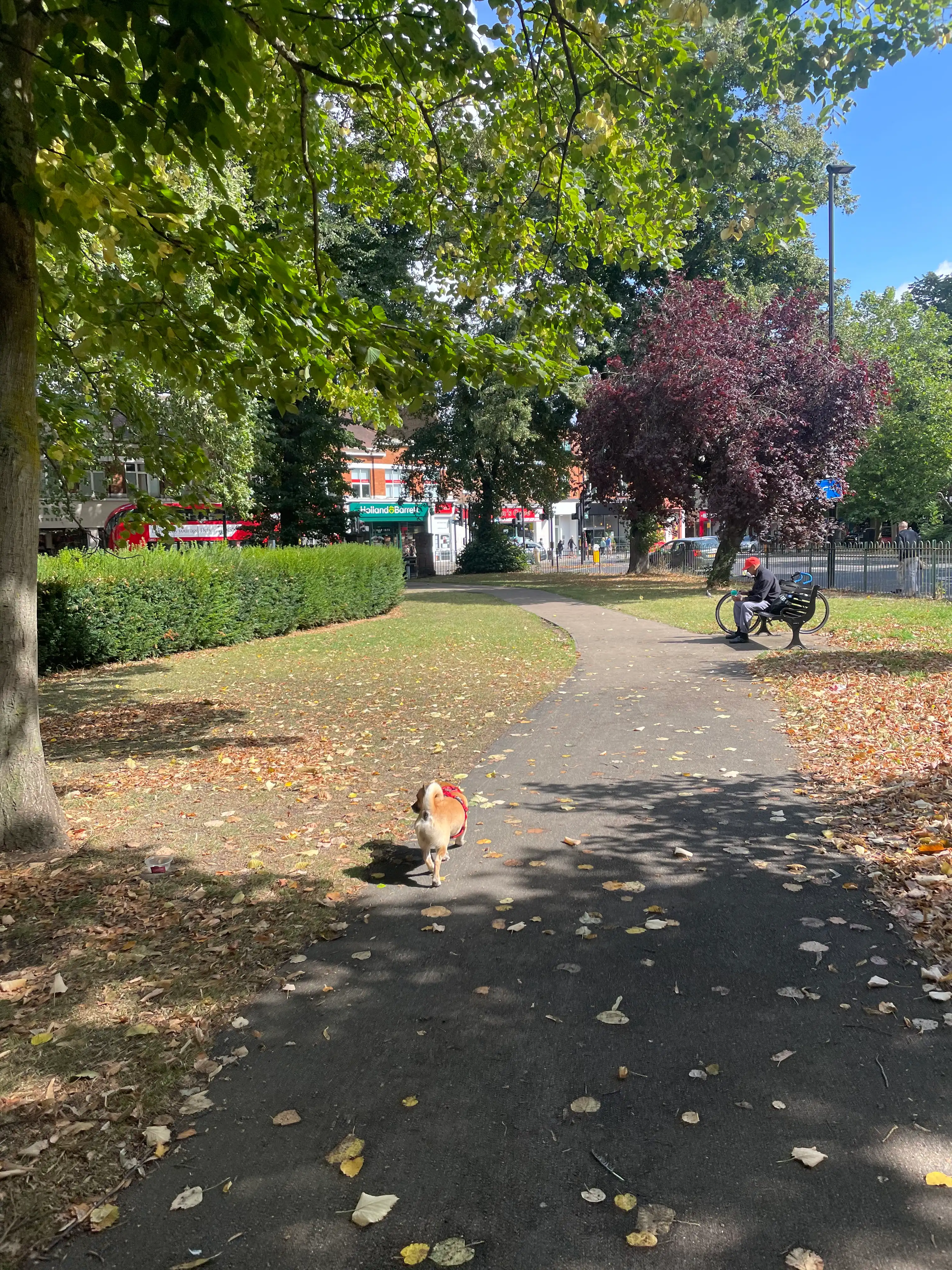 image-15