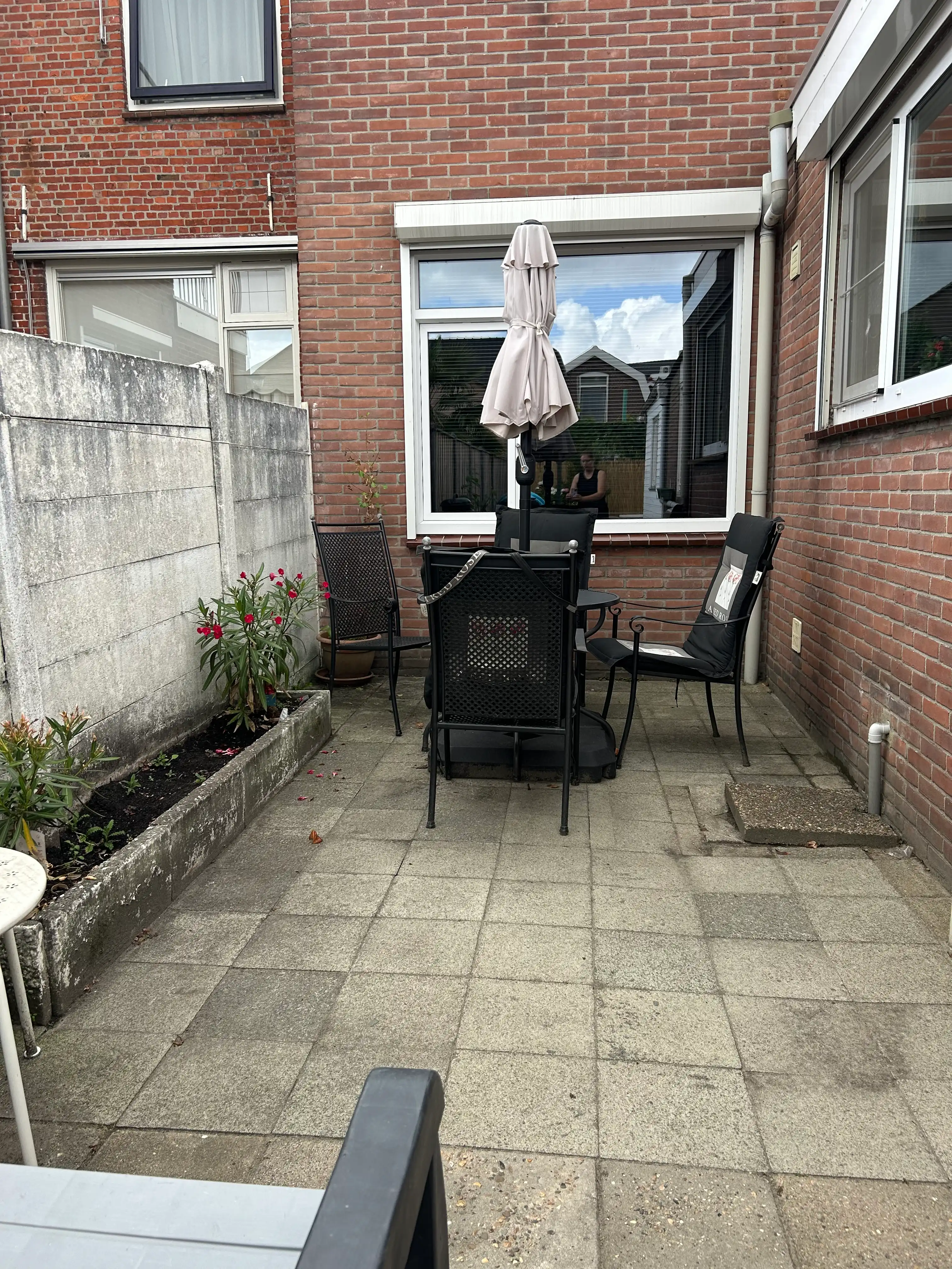image-19