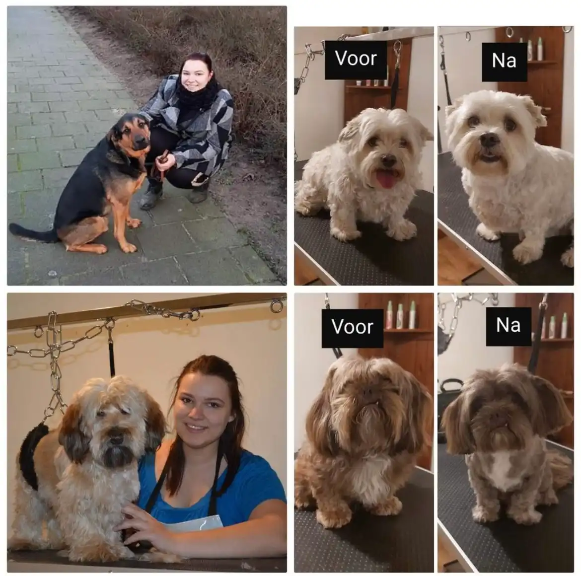 image-17