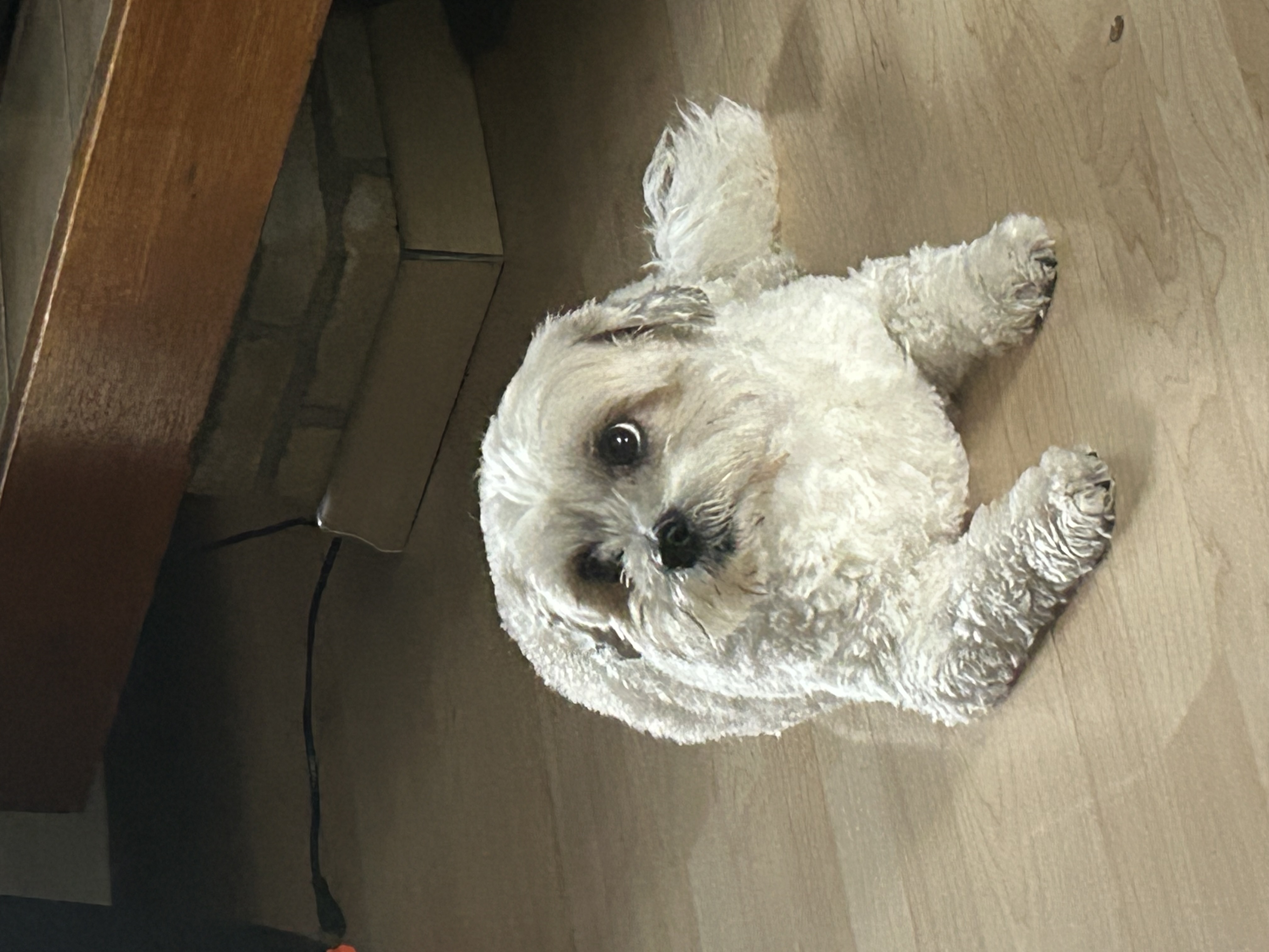 image-16