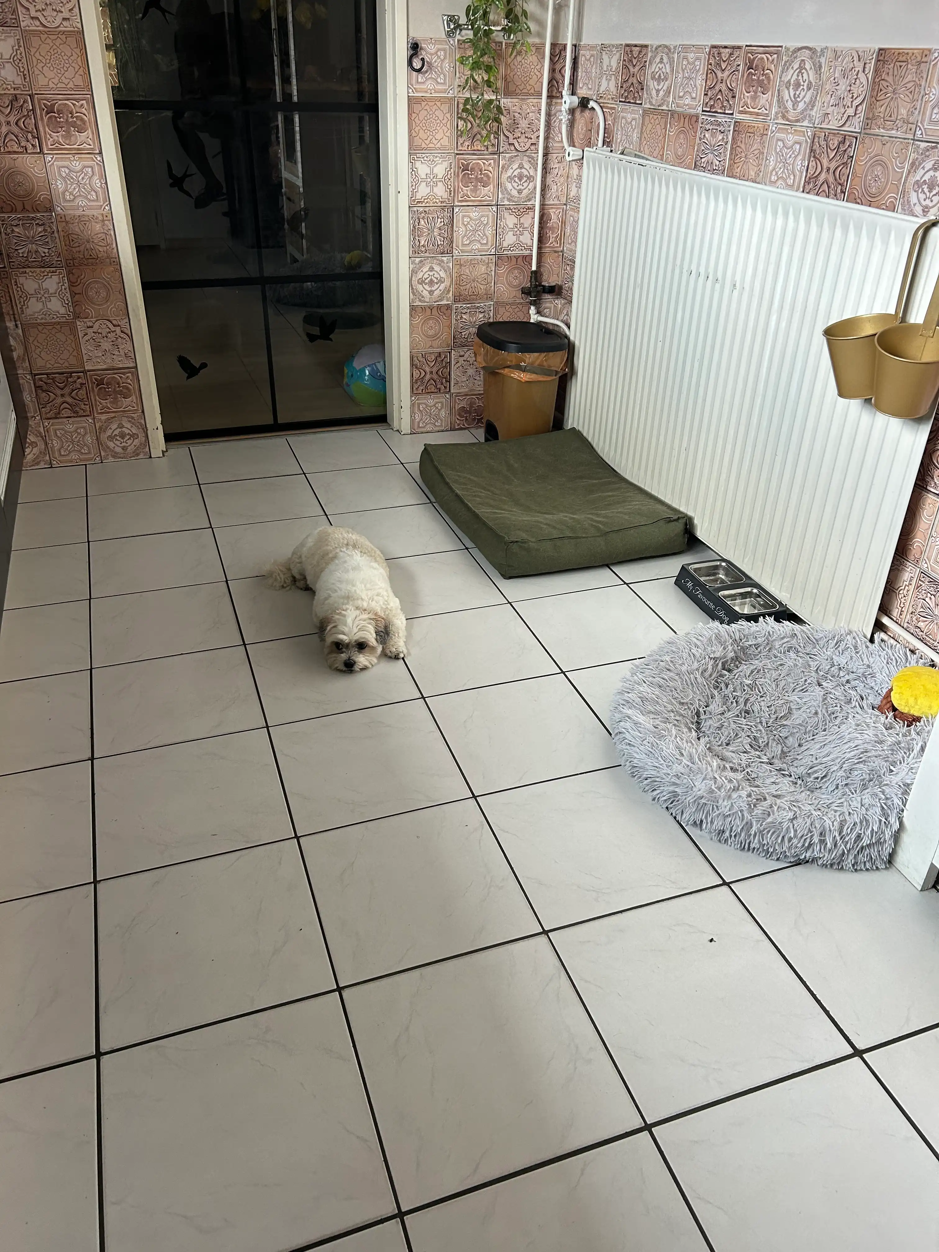 image-25