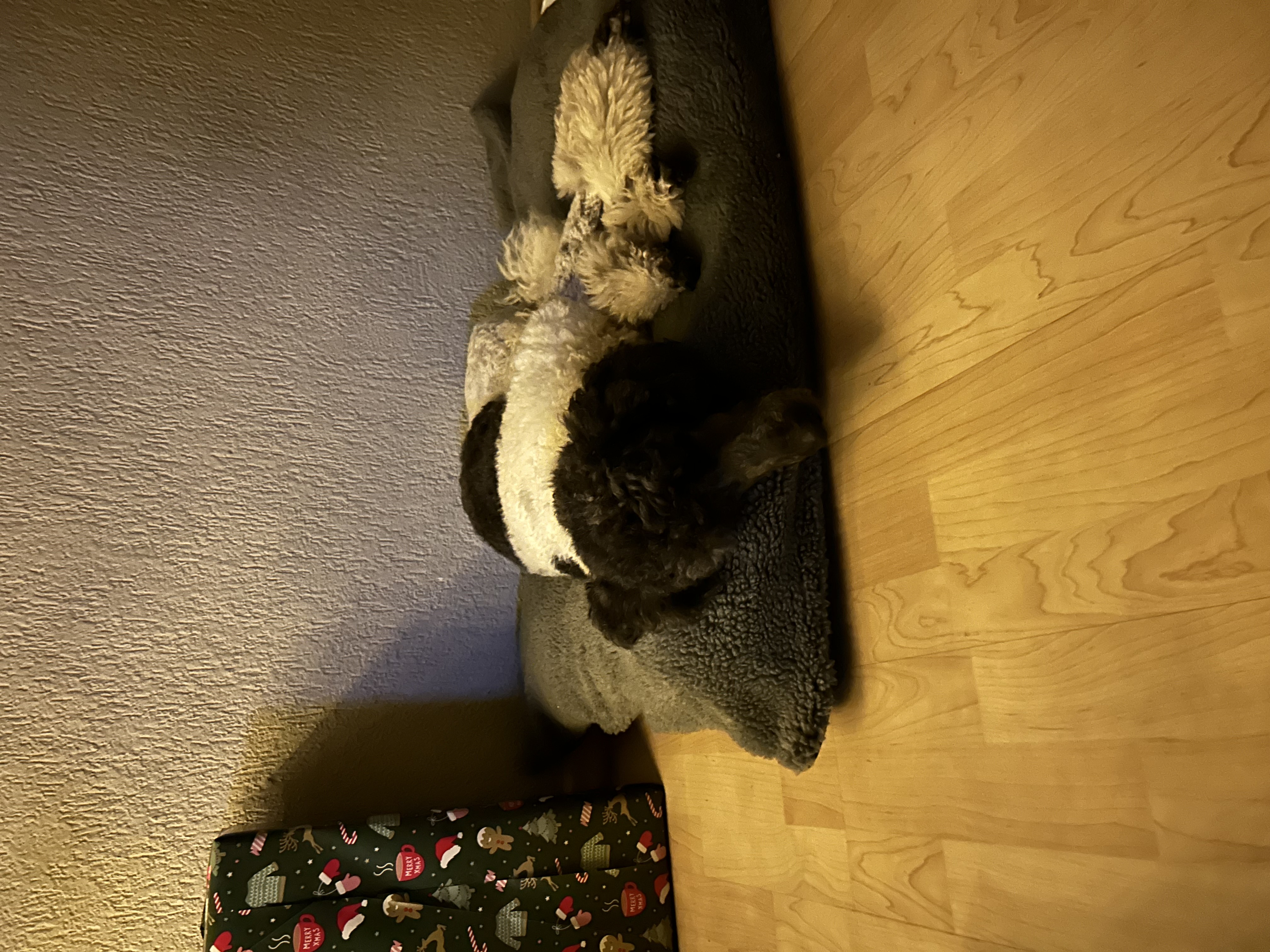 image-11