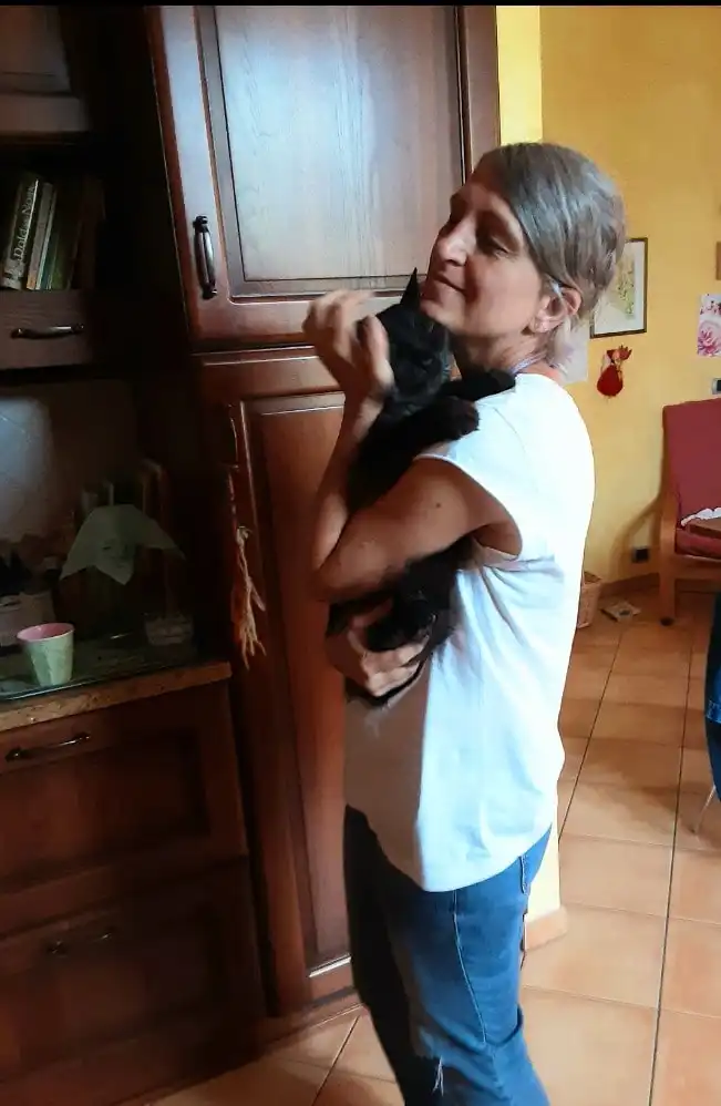 image-8