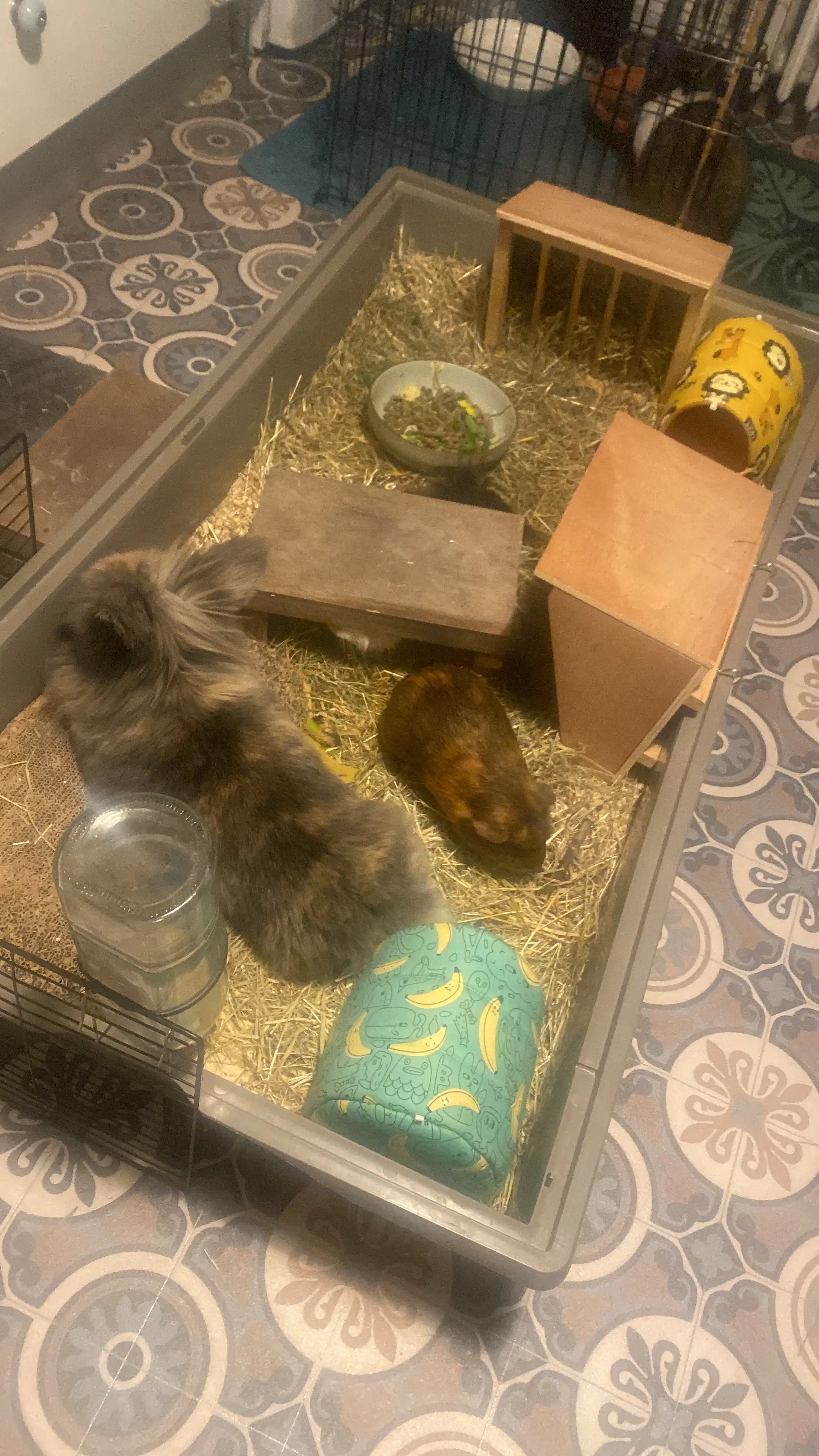 image-12