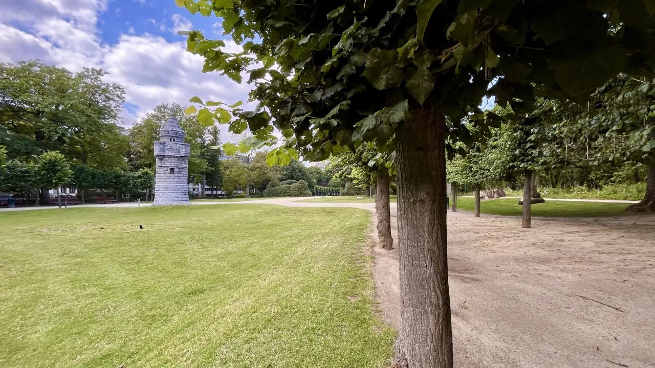 image-11