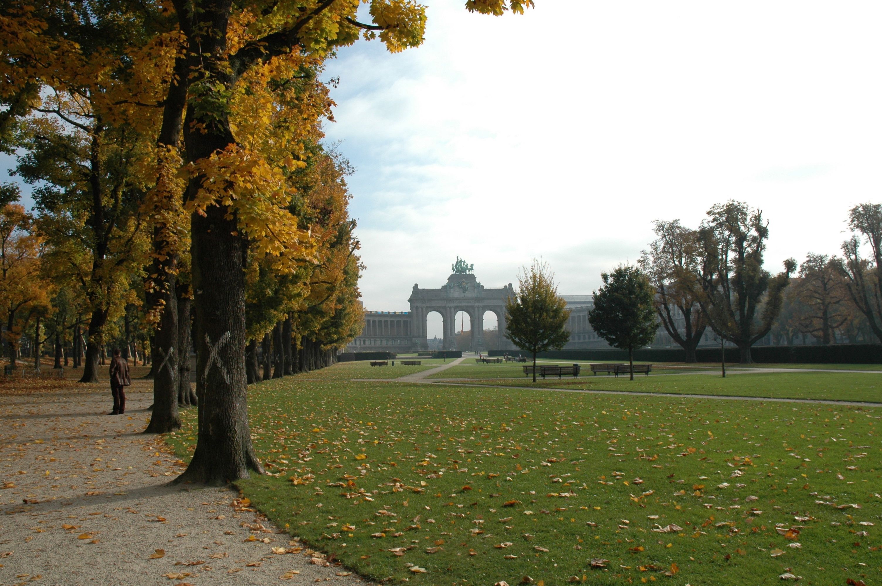image-15
