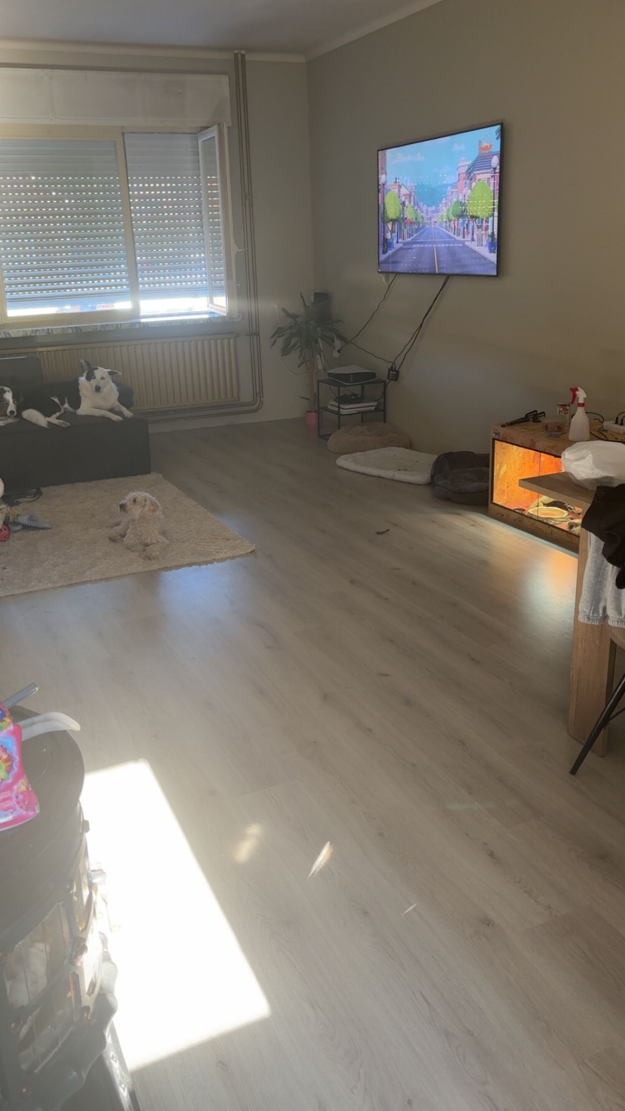 image-12
