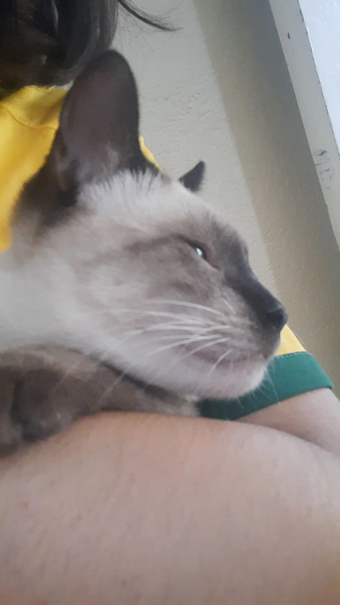 image-6