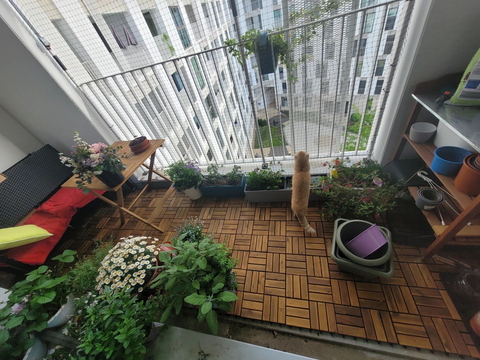 image-13