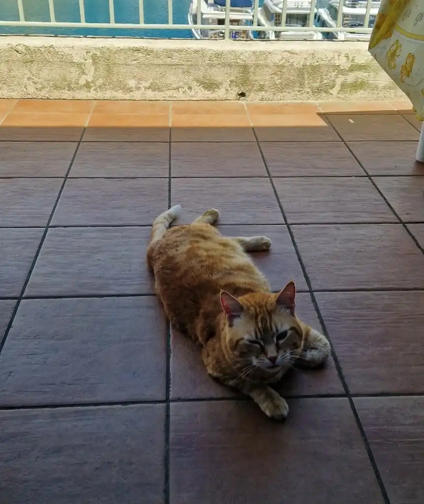 image-8
