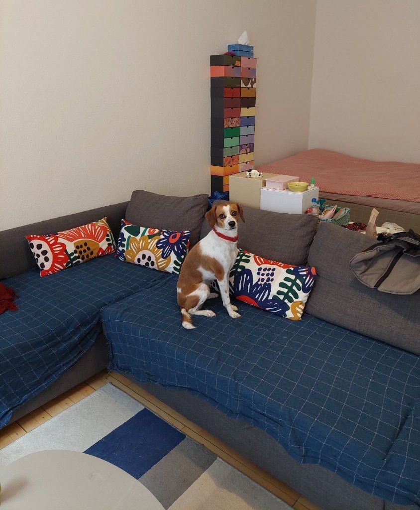 image-9