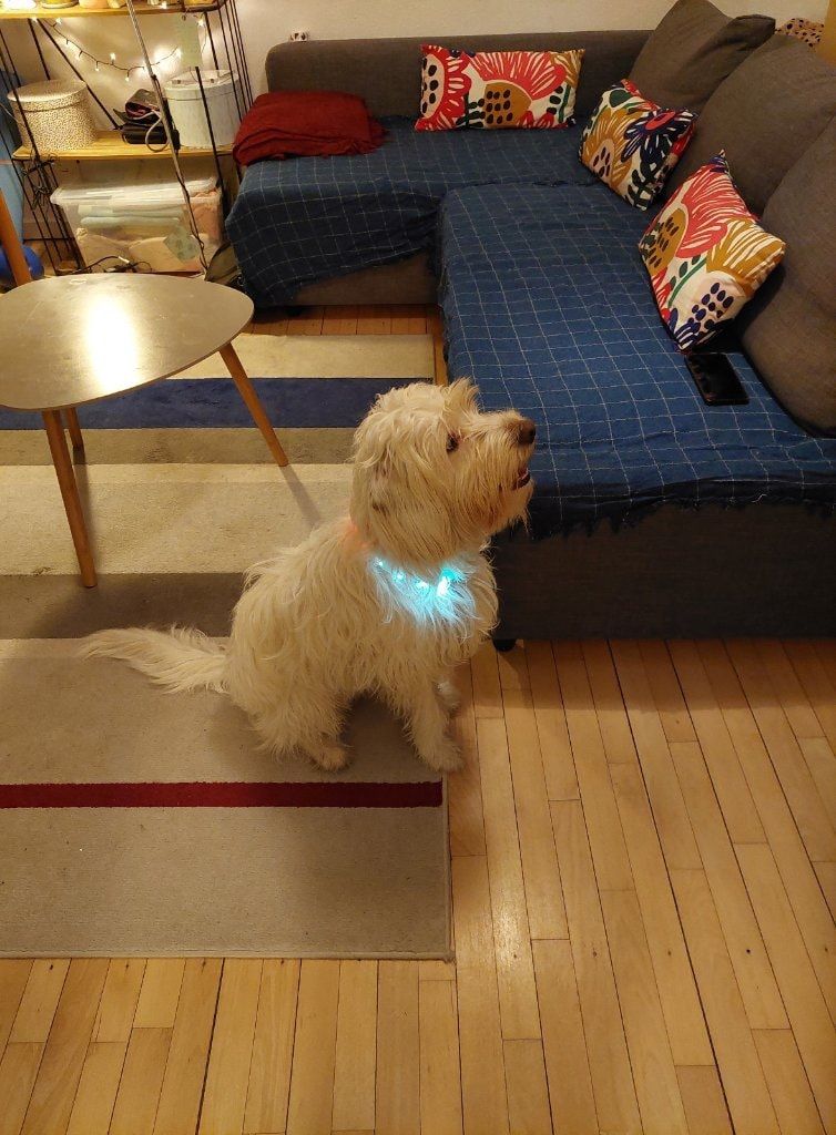 image-8