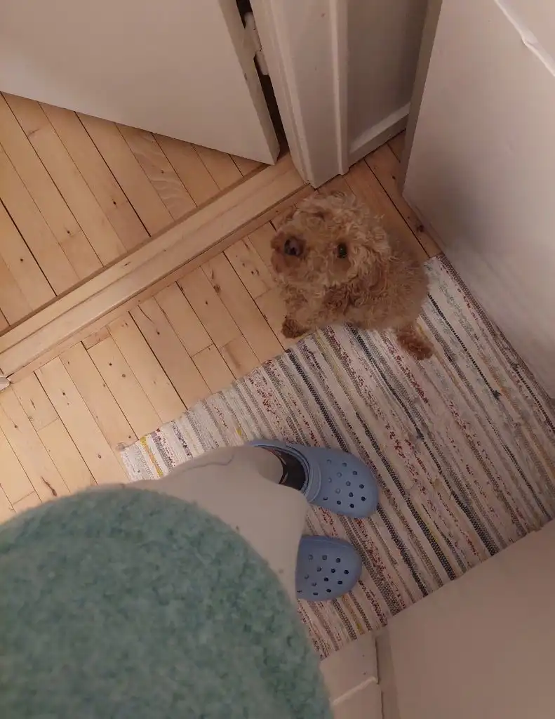image-10