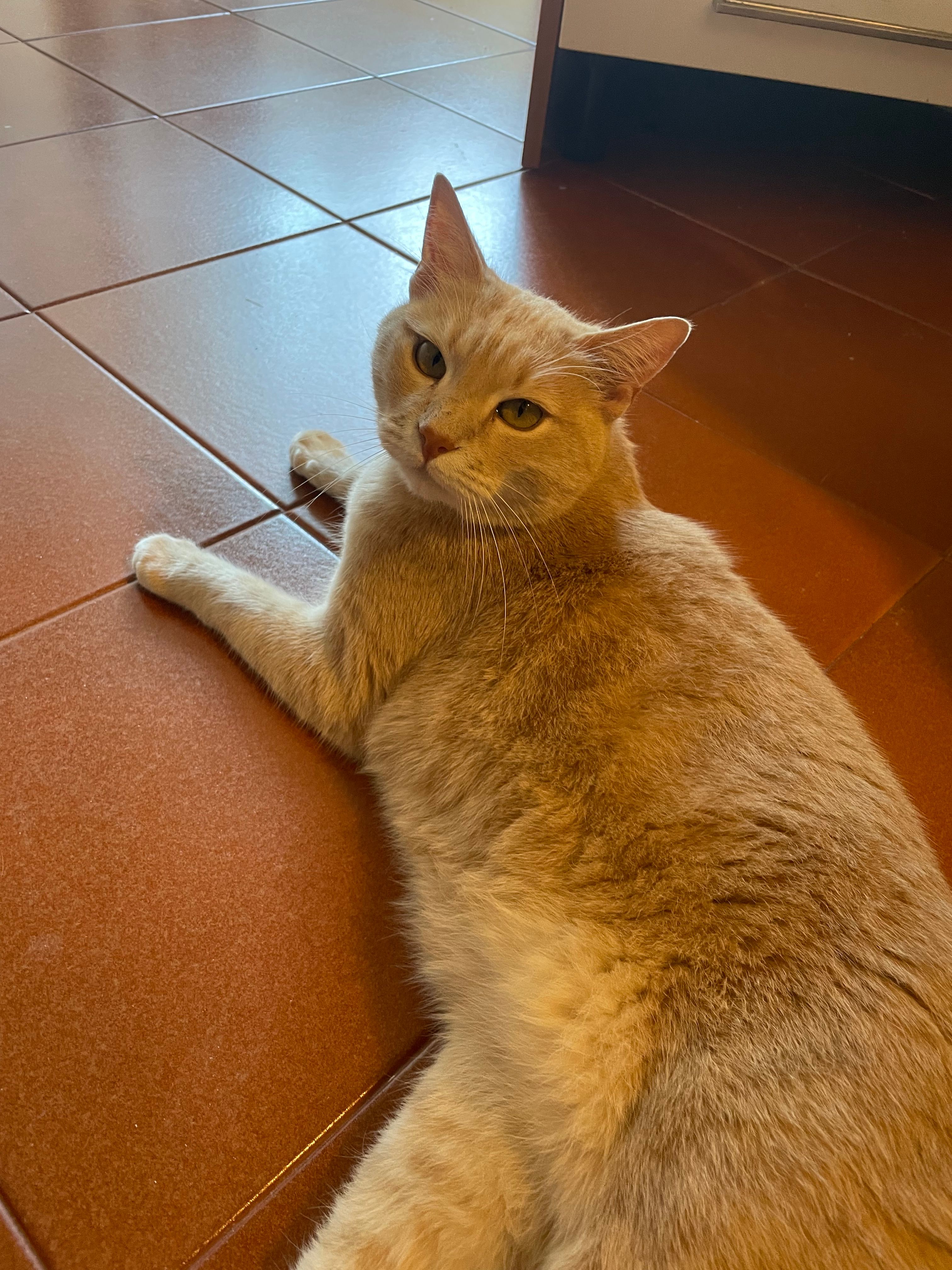 image-4