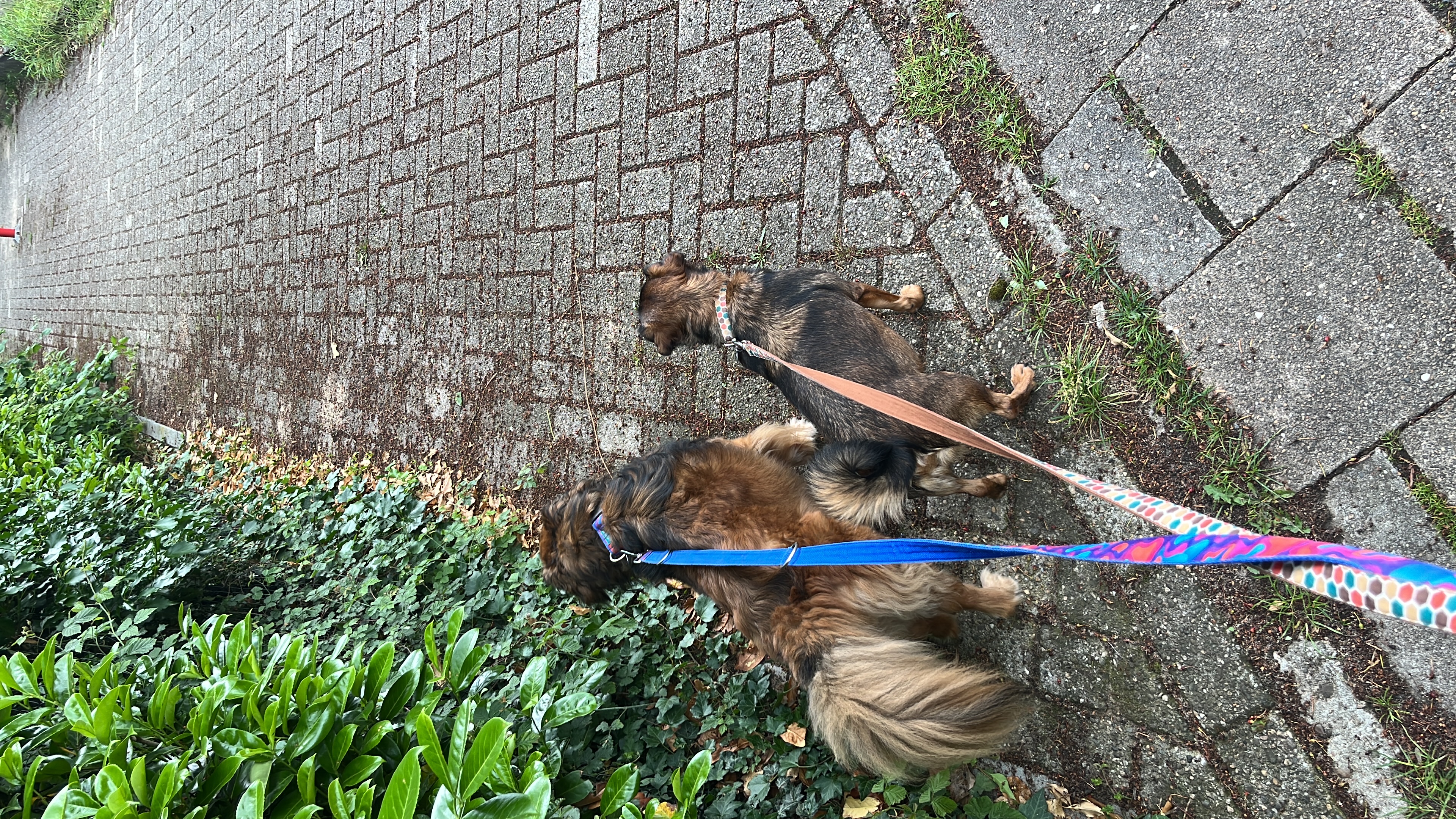 image-18