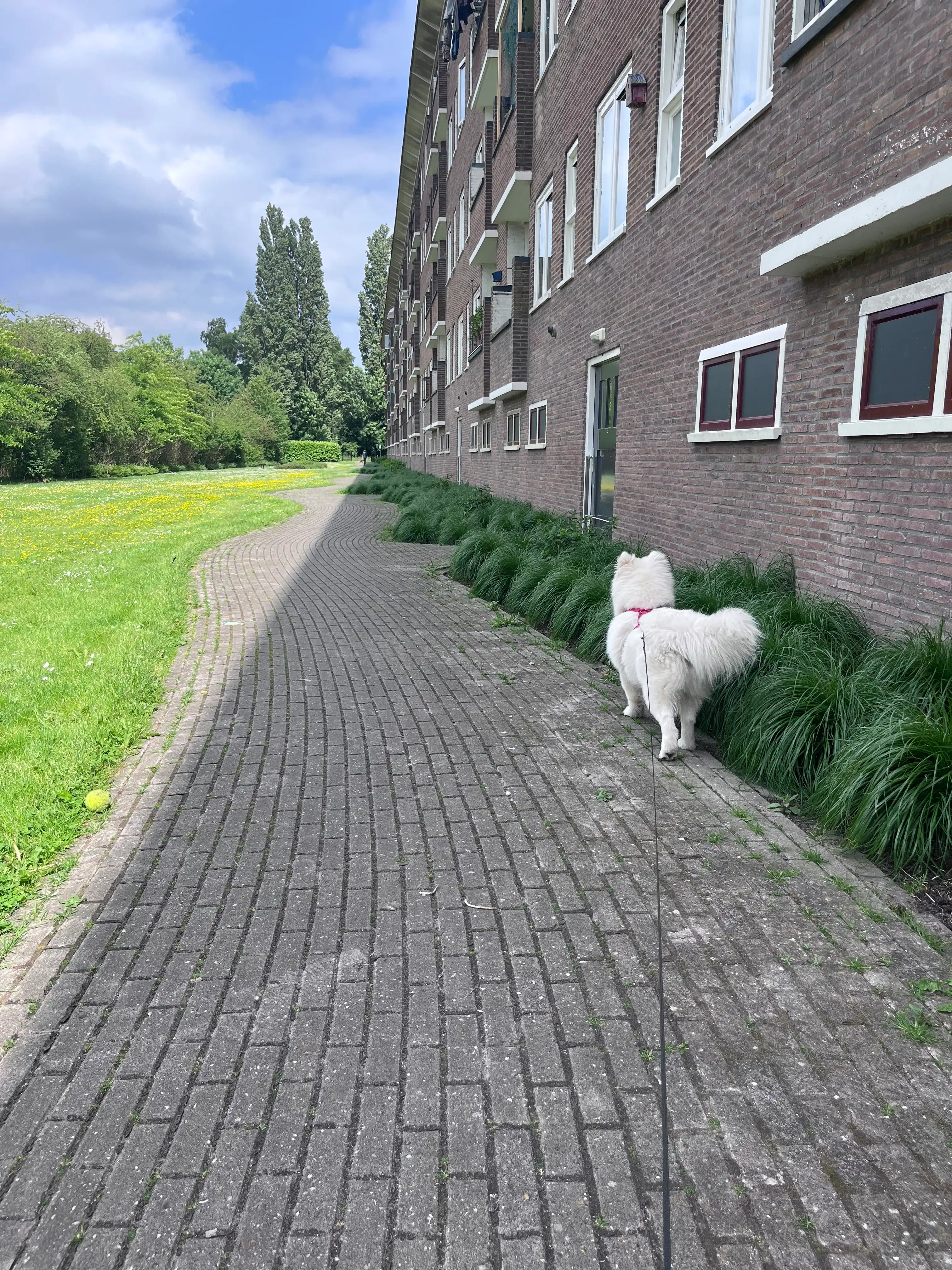 image-19