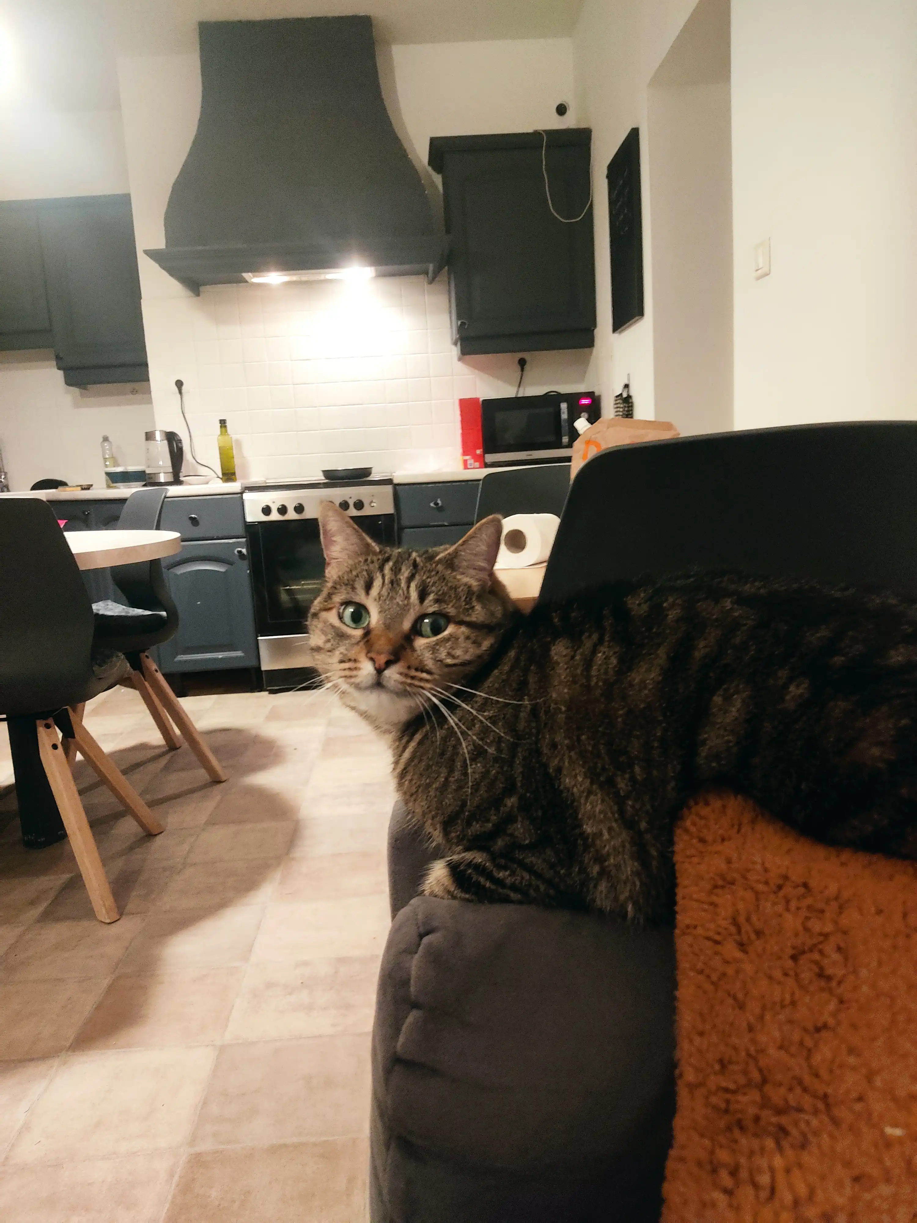 image-11