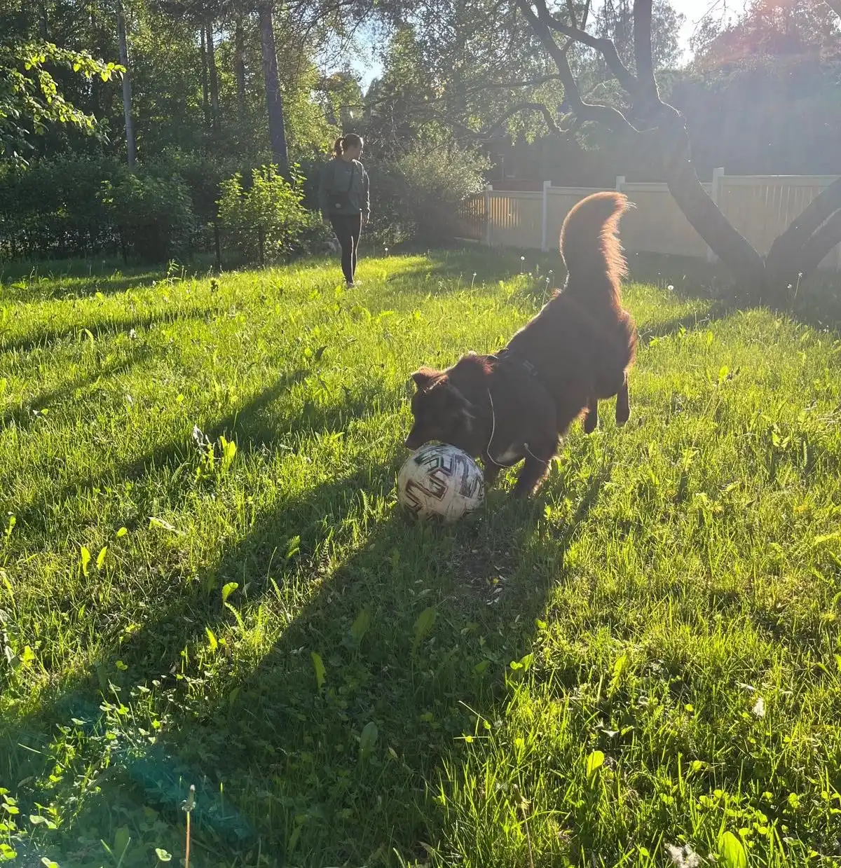 image-7