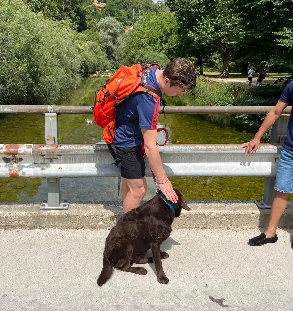 image-5