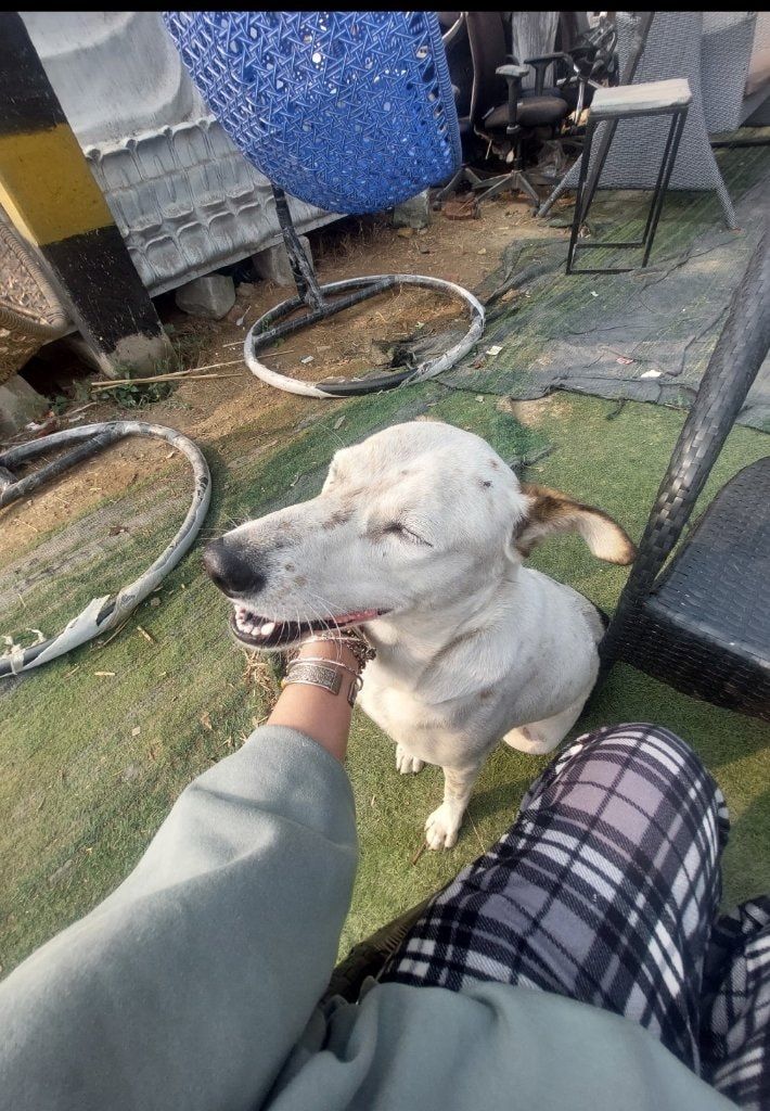 image-7