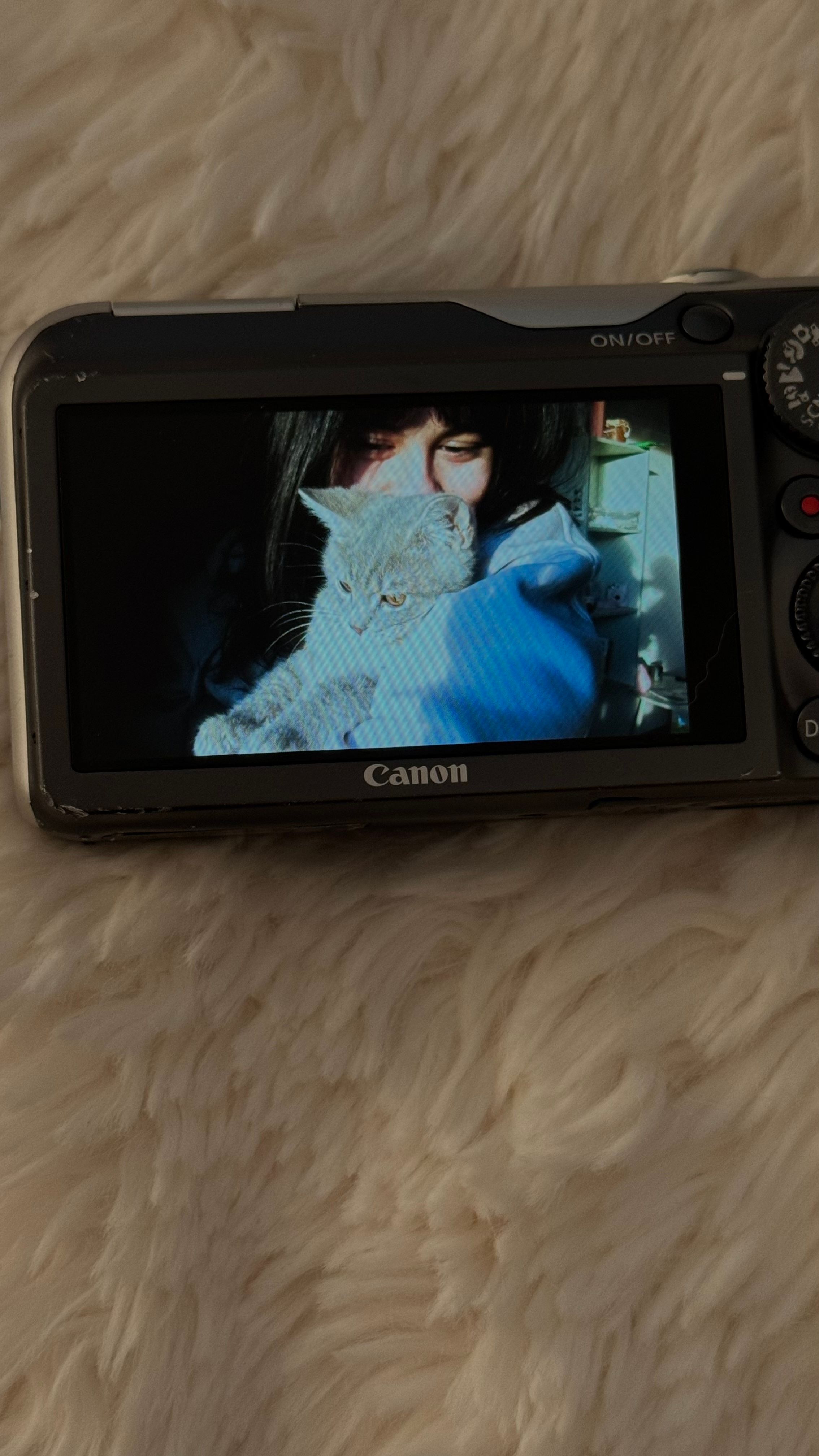 image-7
