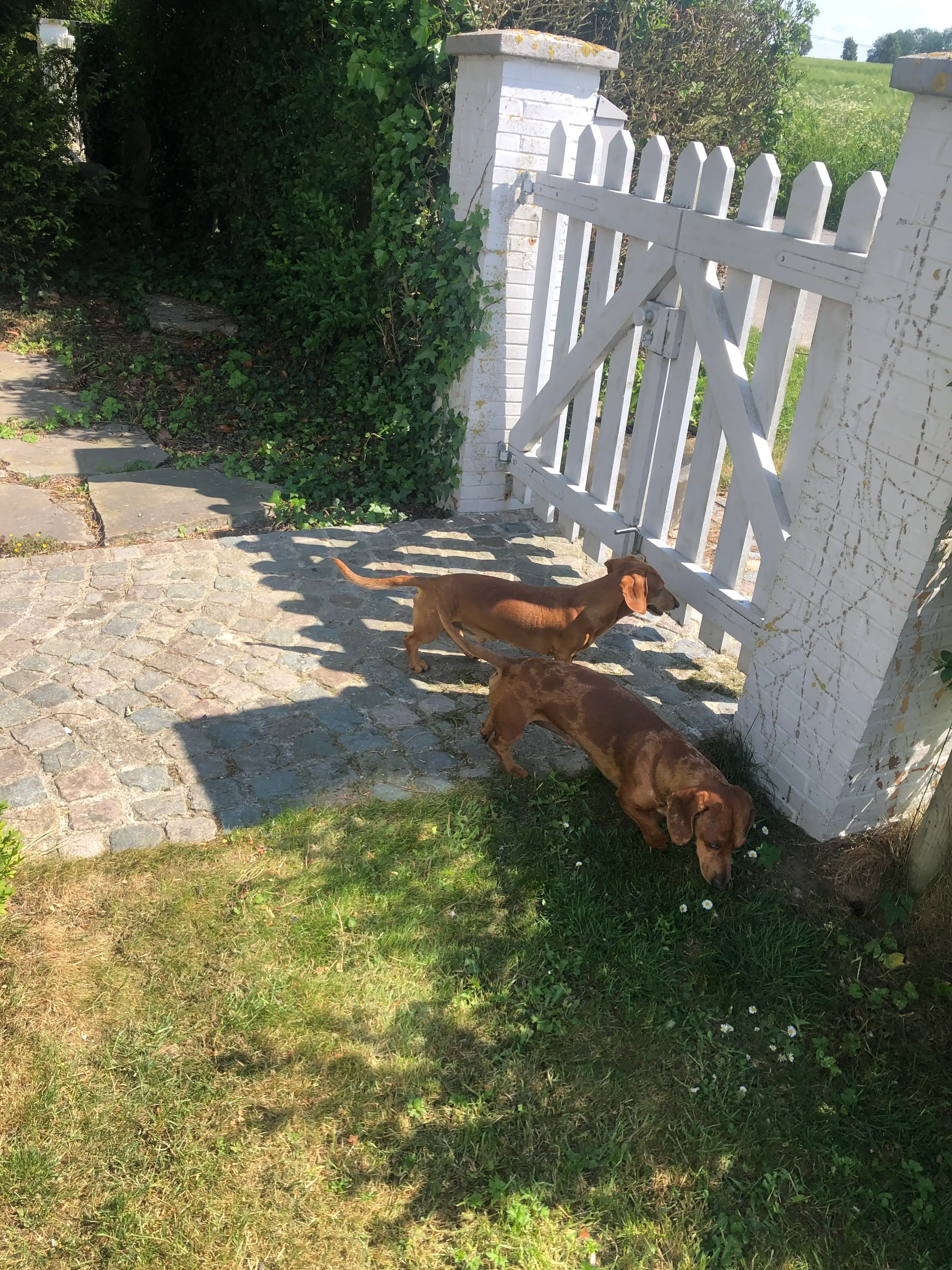 image-9