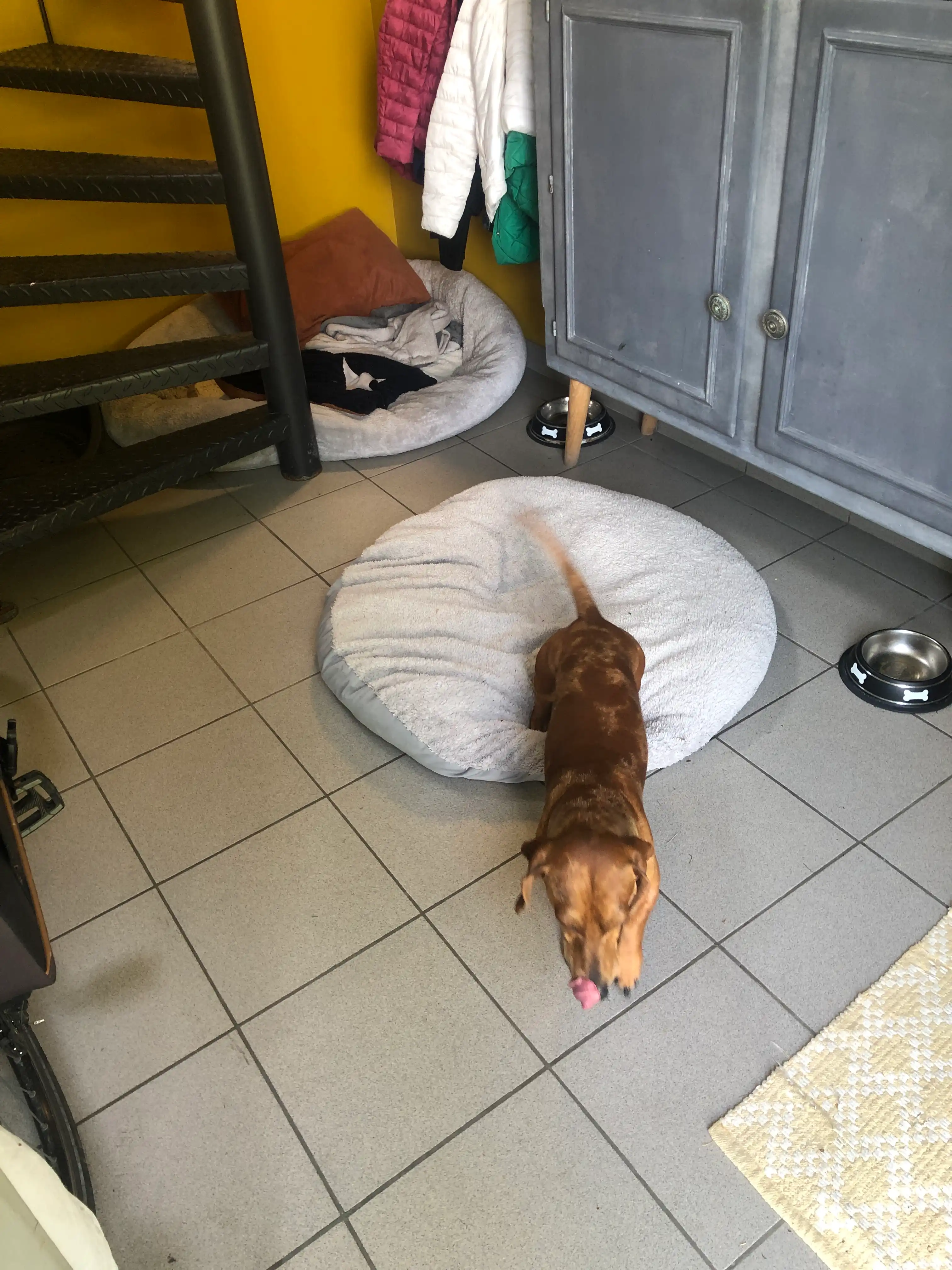 image-7