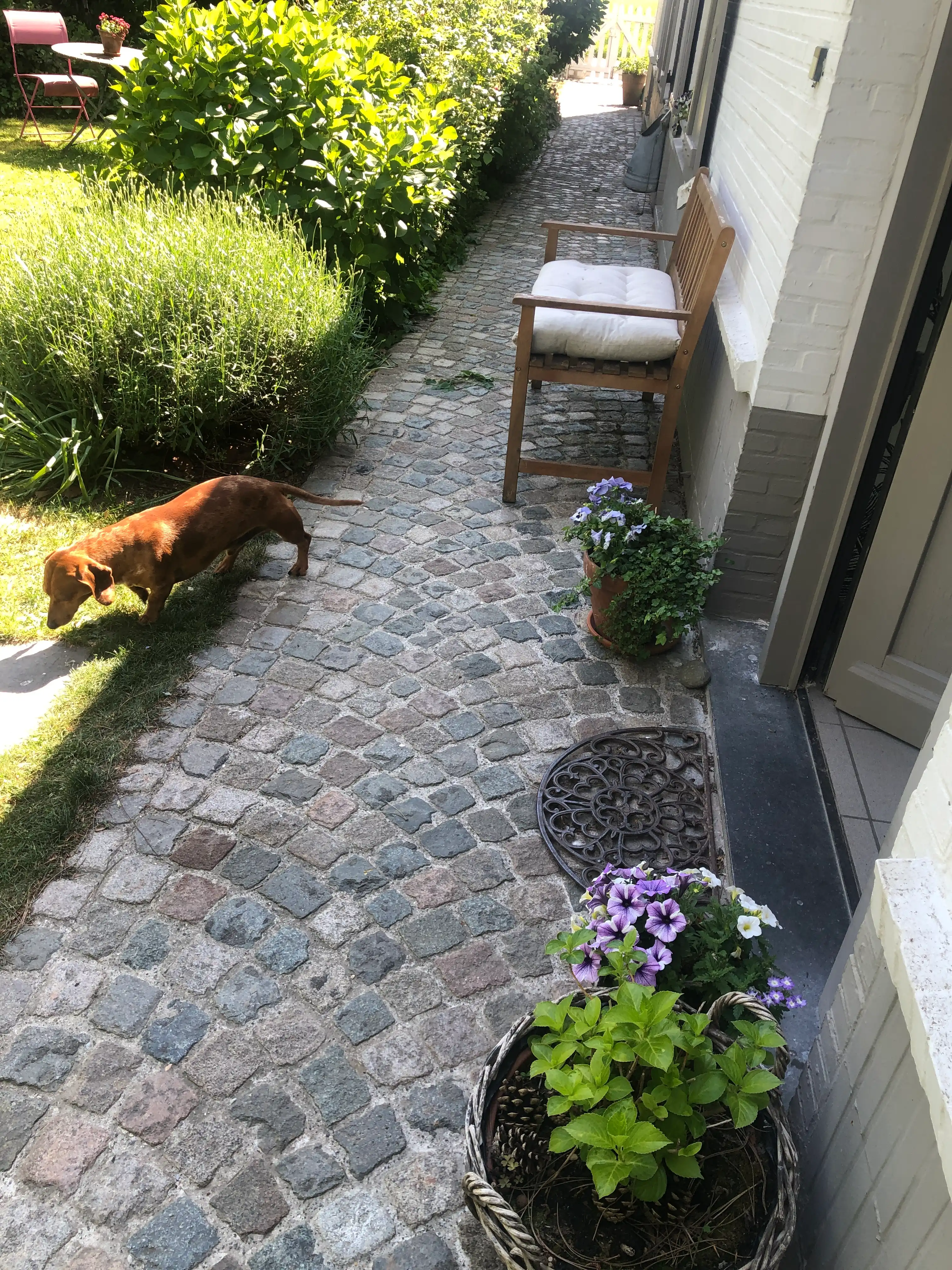 image-11