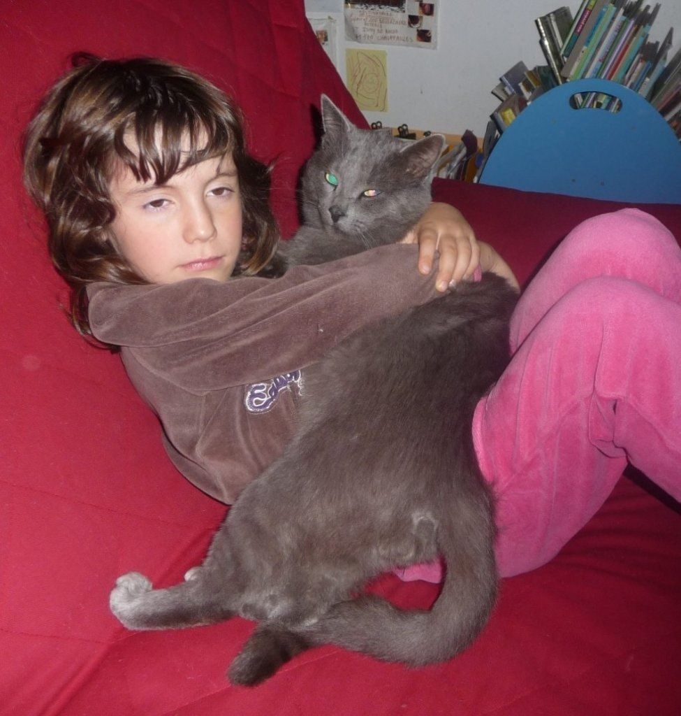 image-7