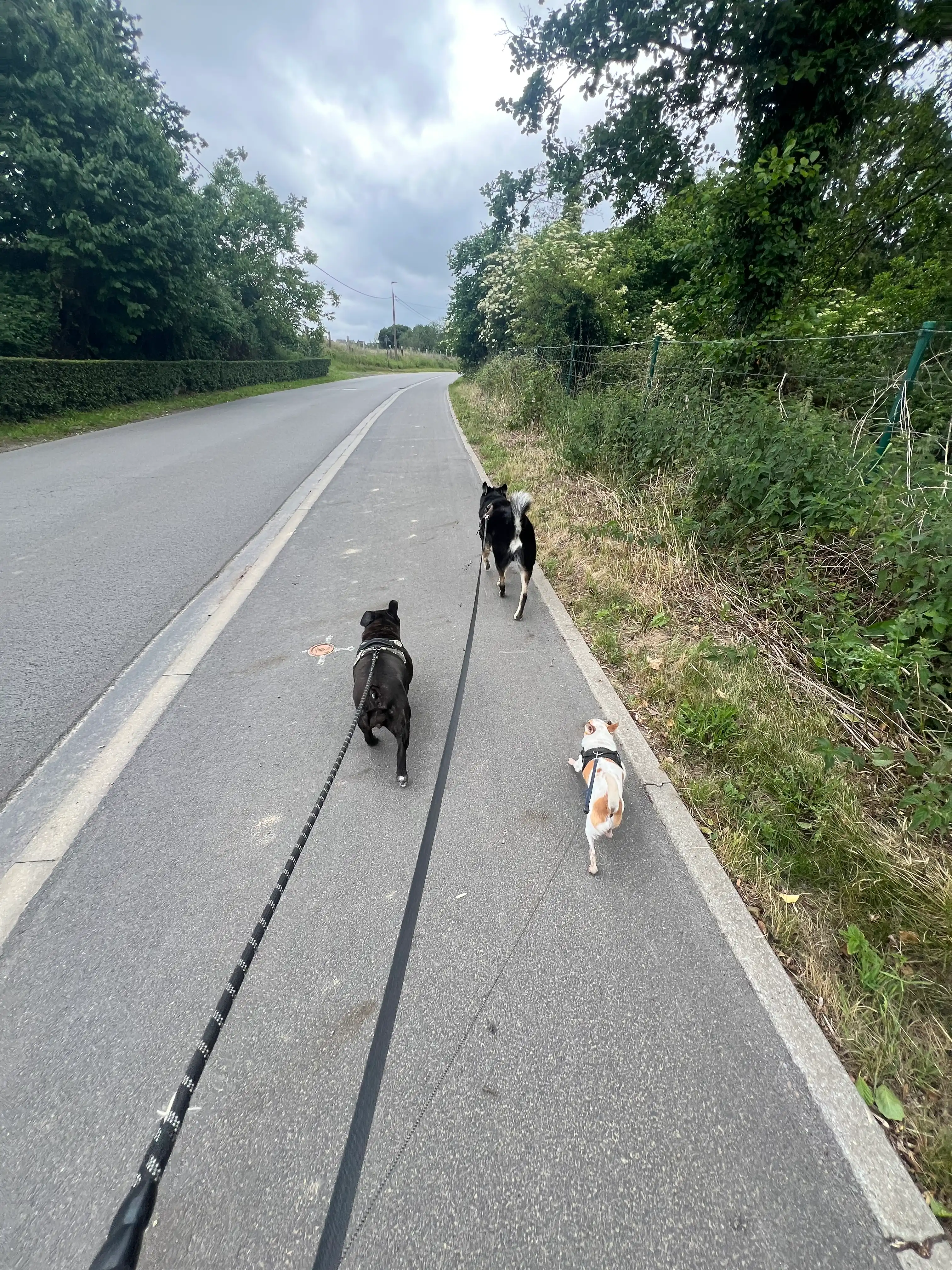 image-13
