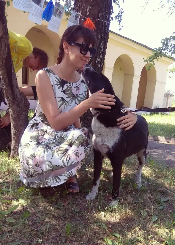 image-6