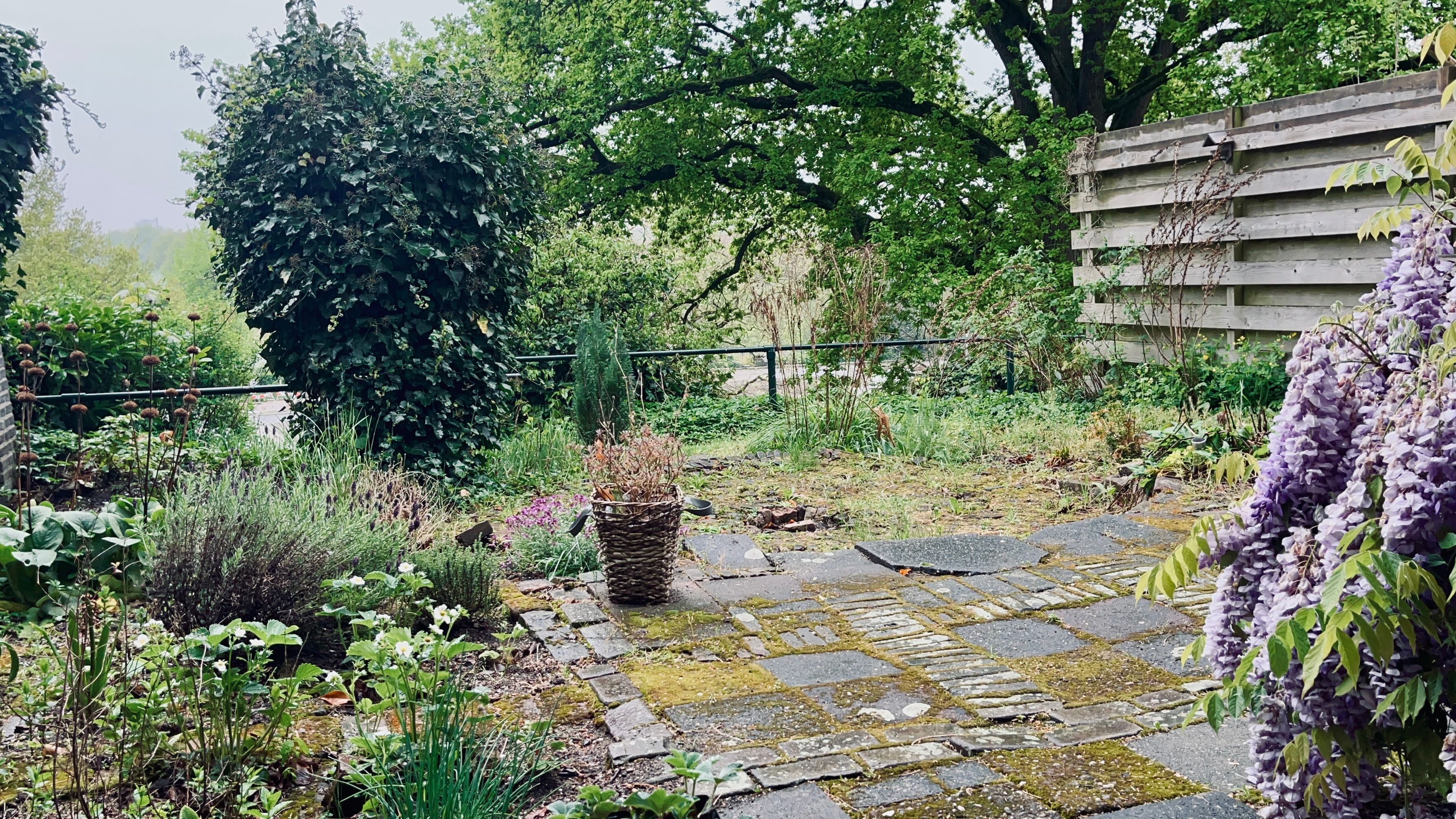 image-18