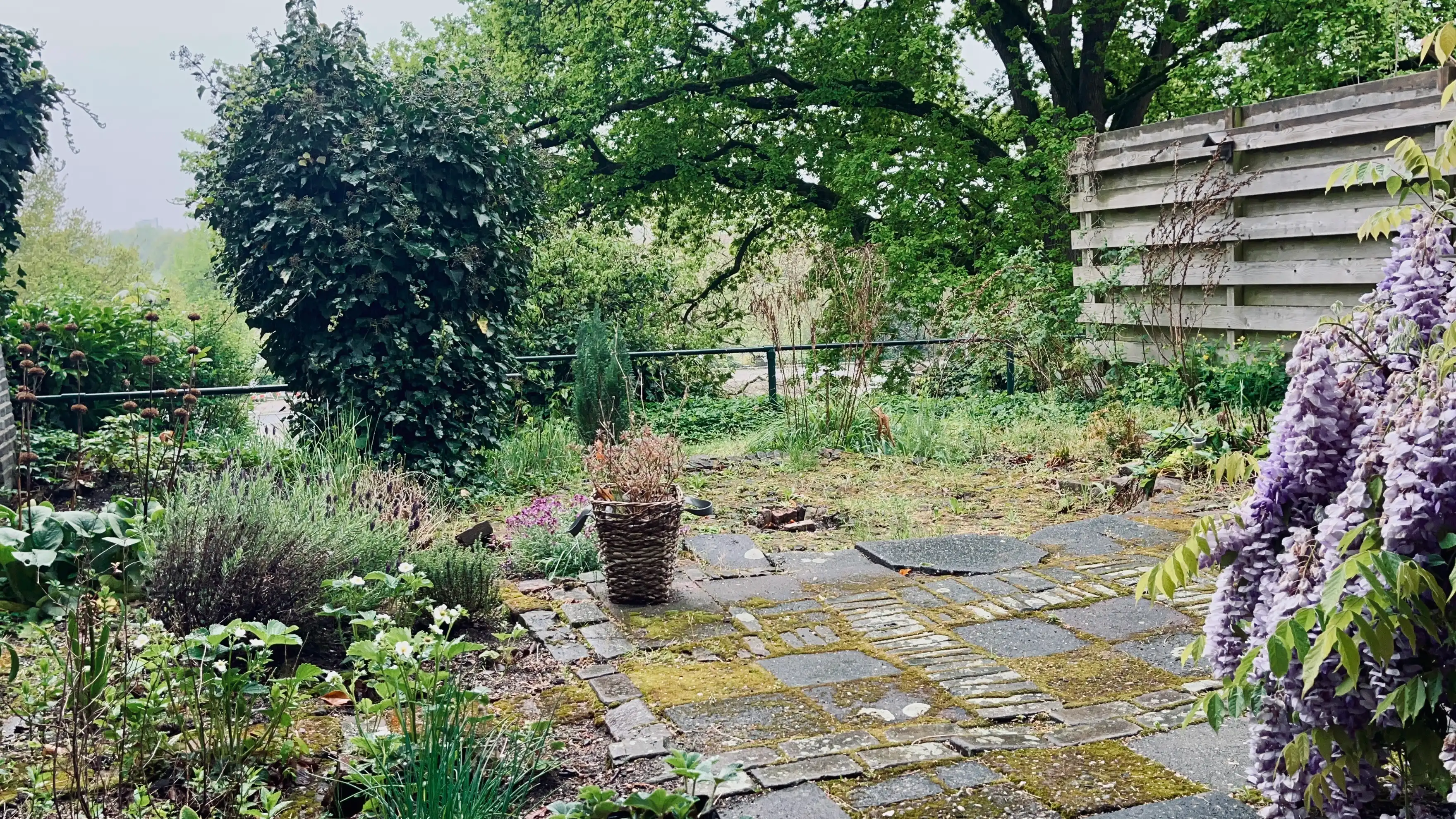 image-18