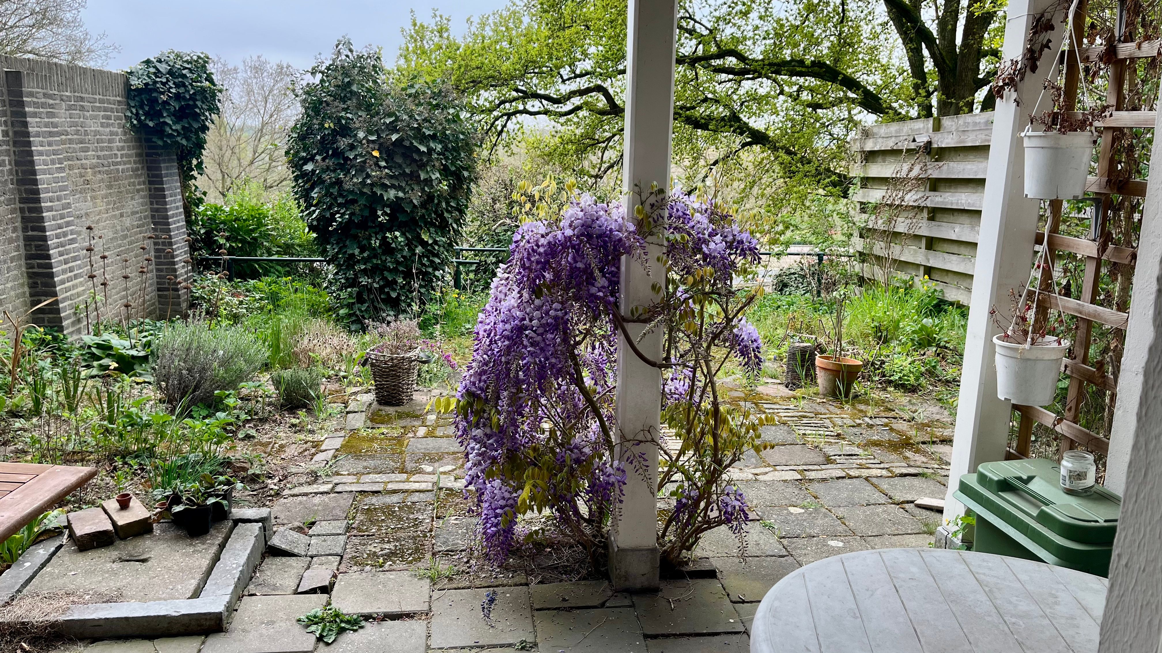 image-19