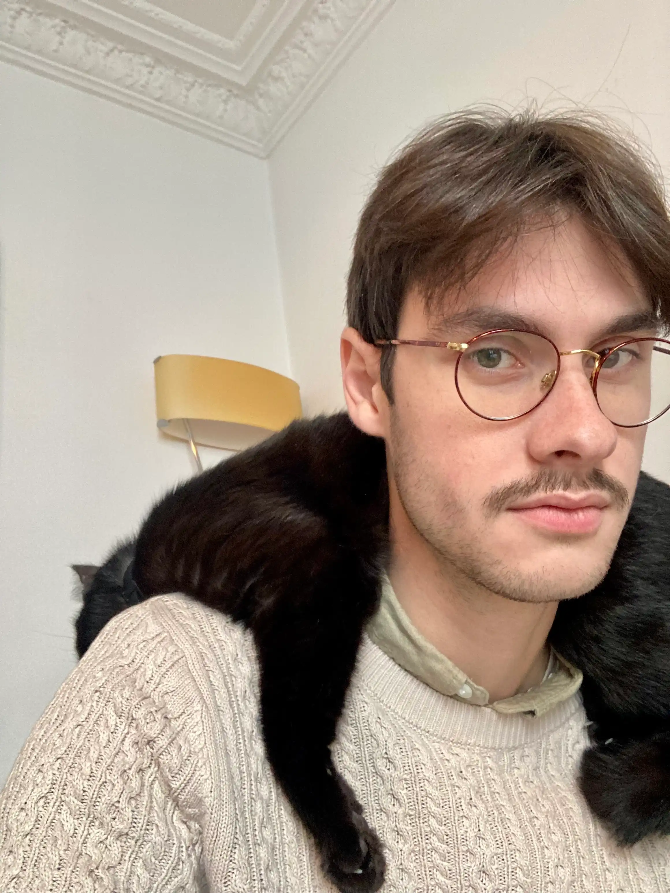 image-7