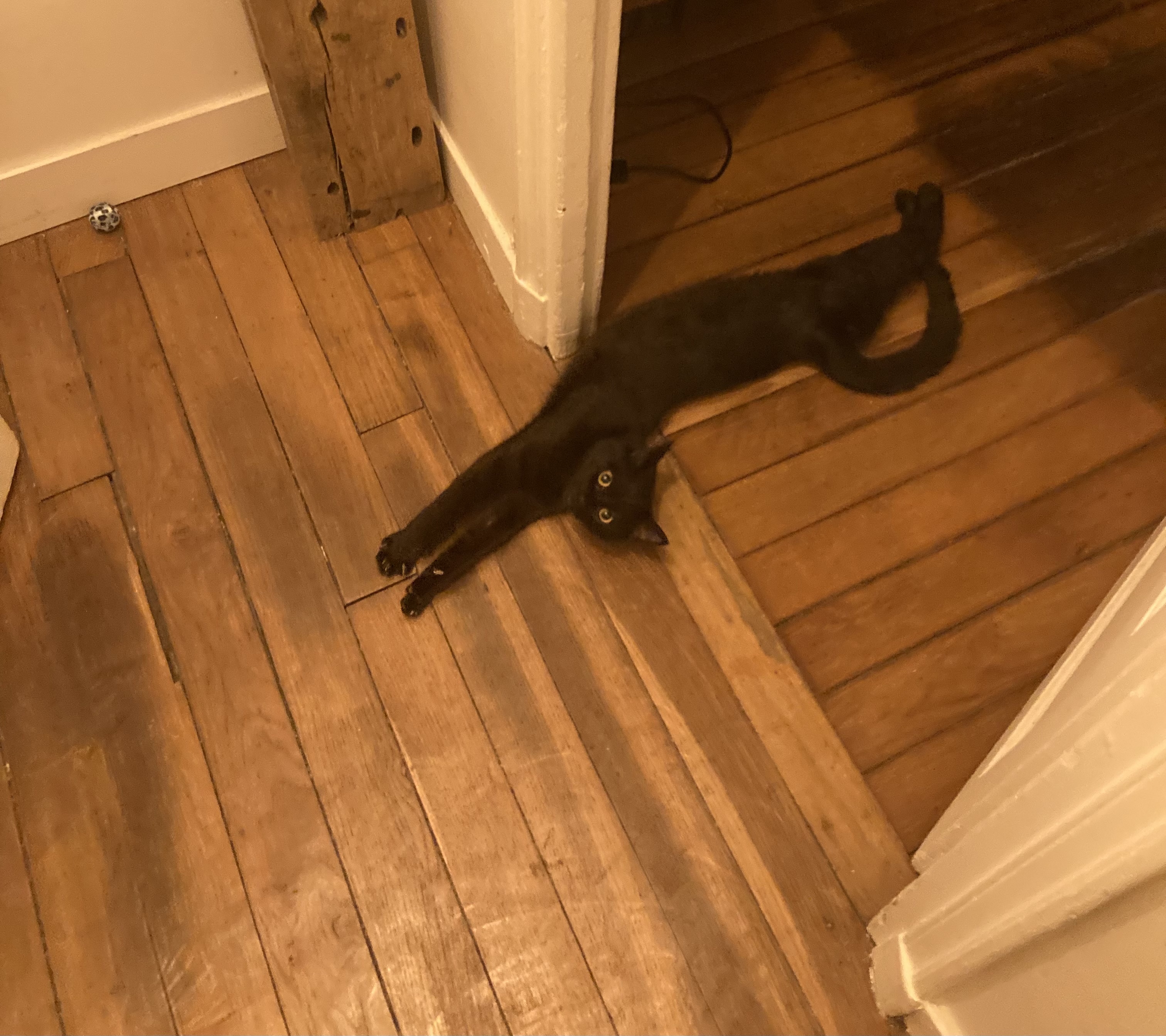 image-13