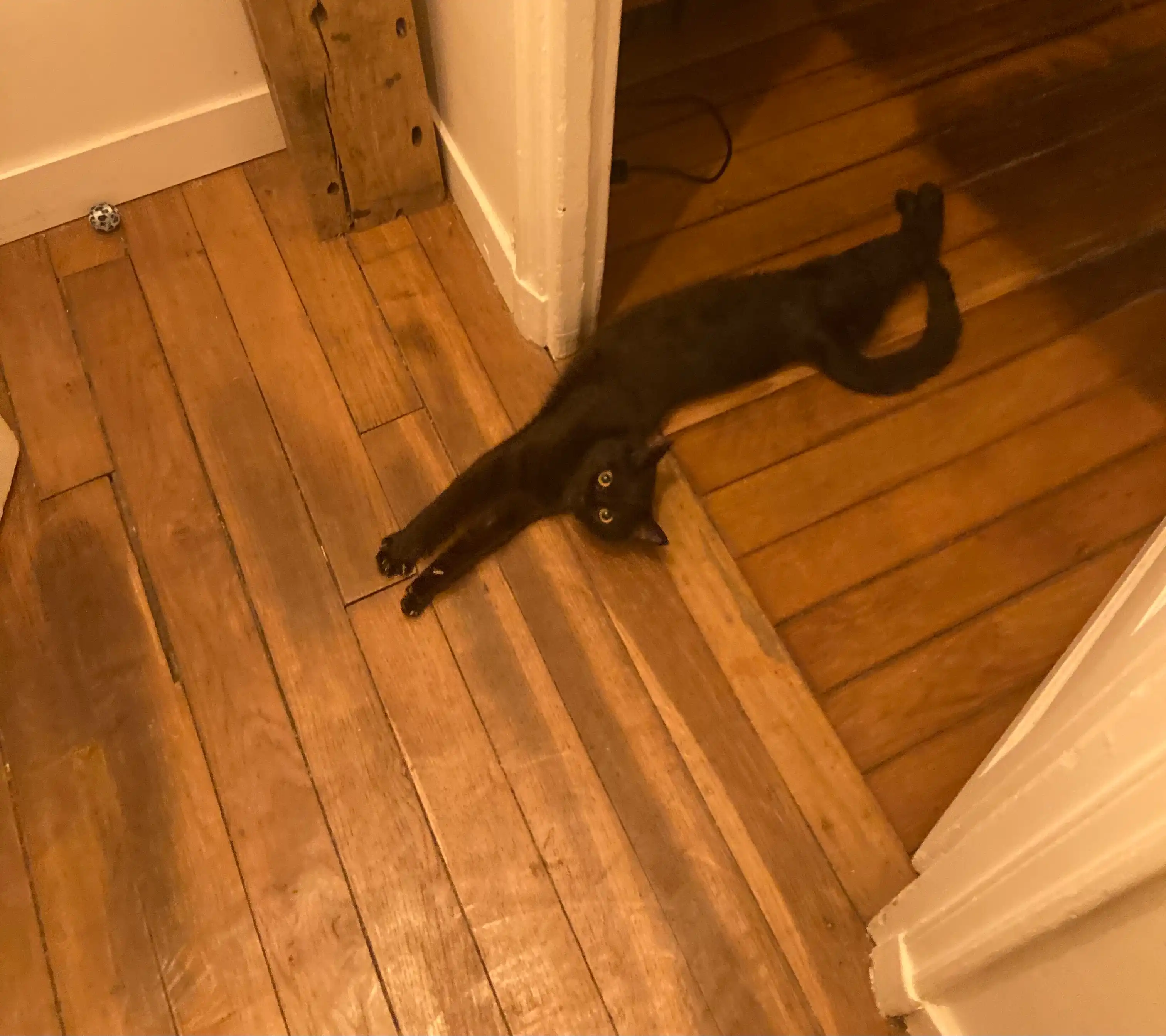 image-13