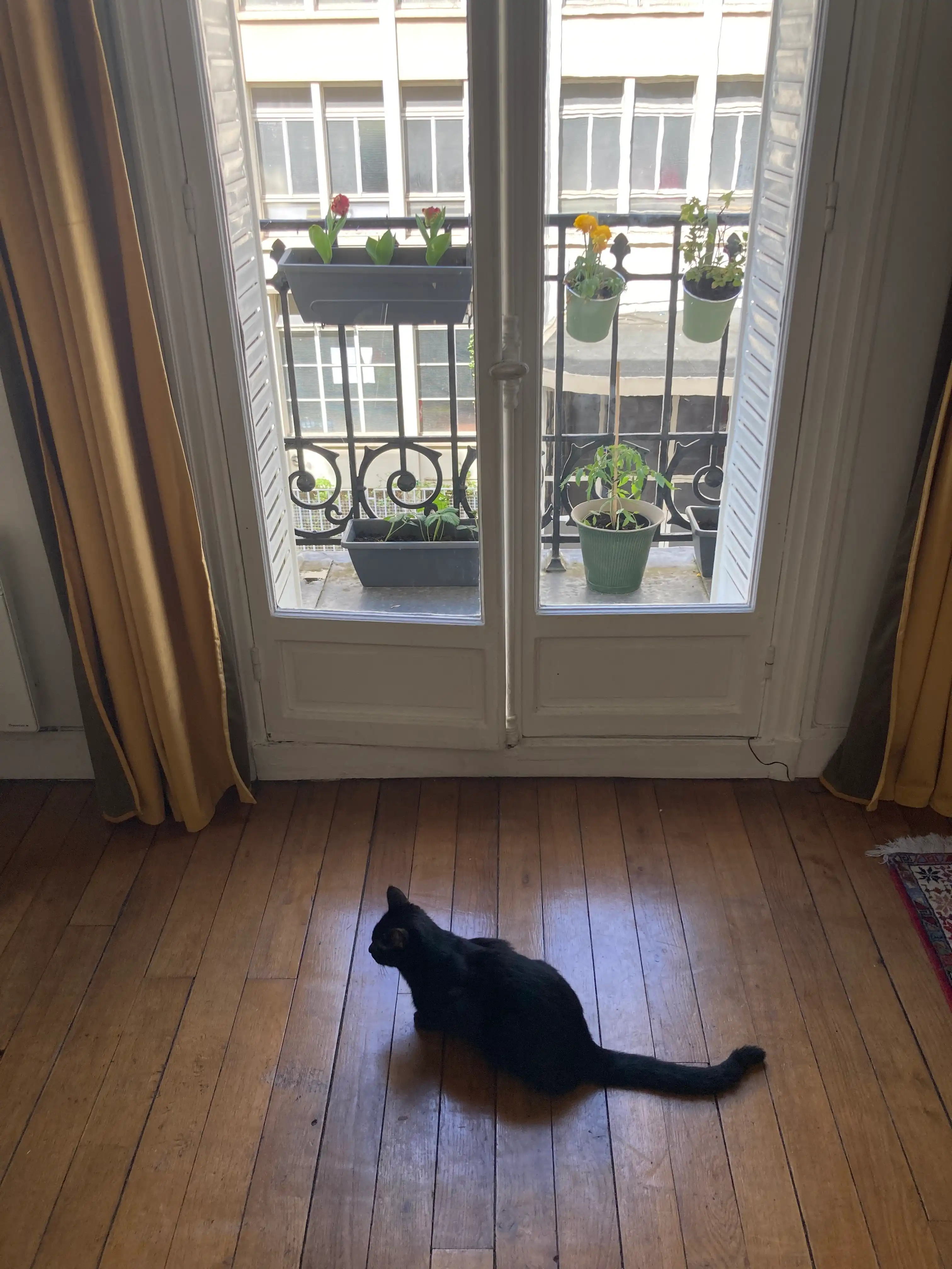 image-14